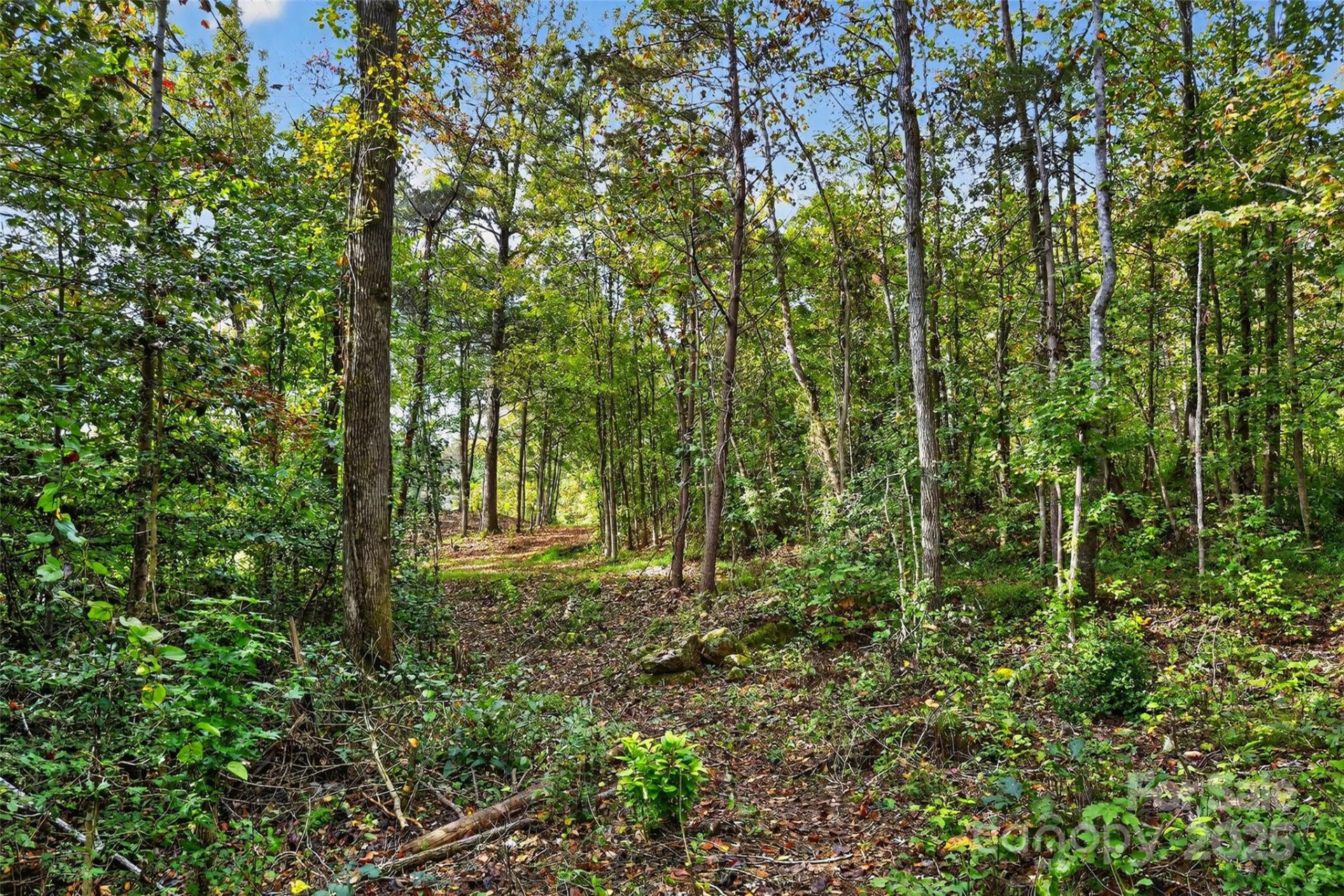 99999 Blue Ridge Drive - Photo 16