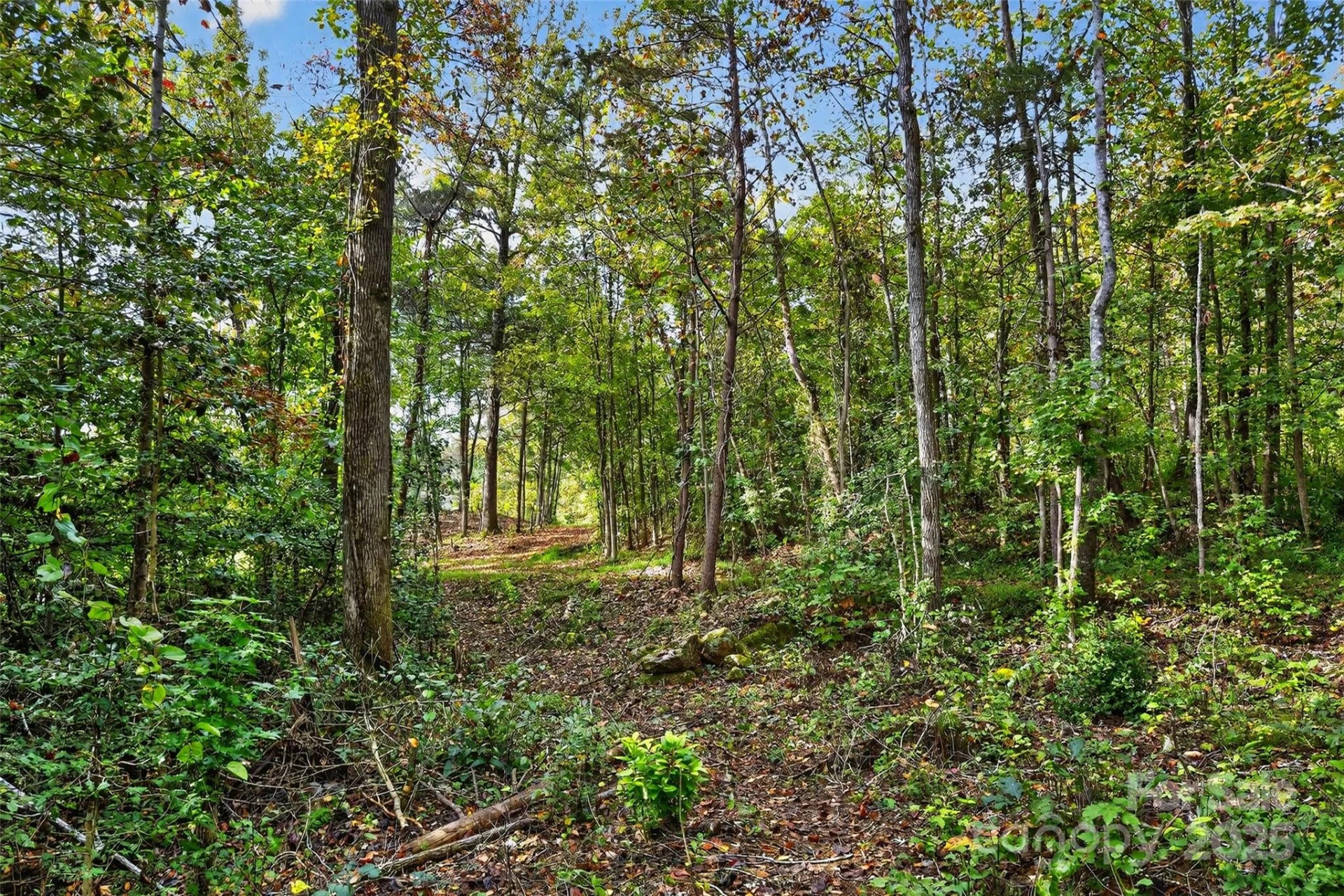 99999 Blue Ridge Drive - Photo 16