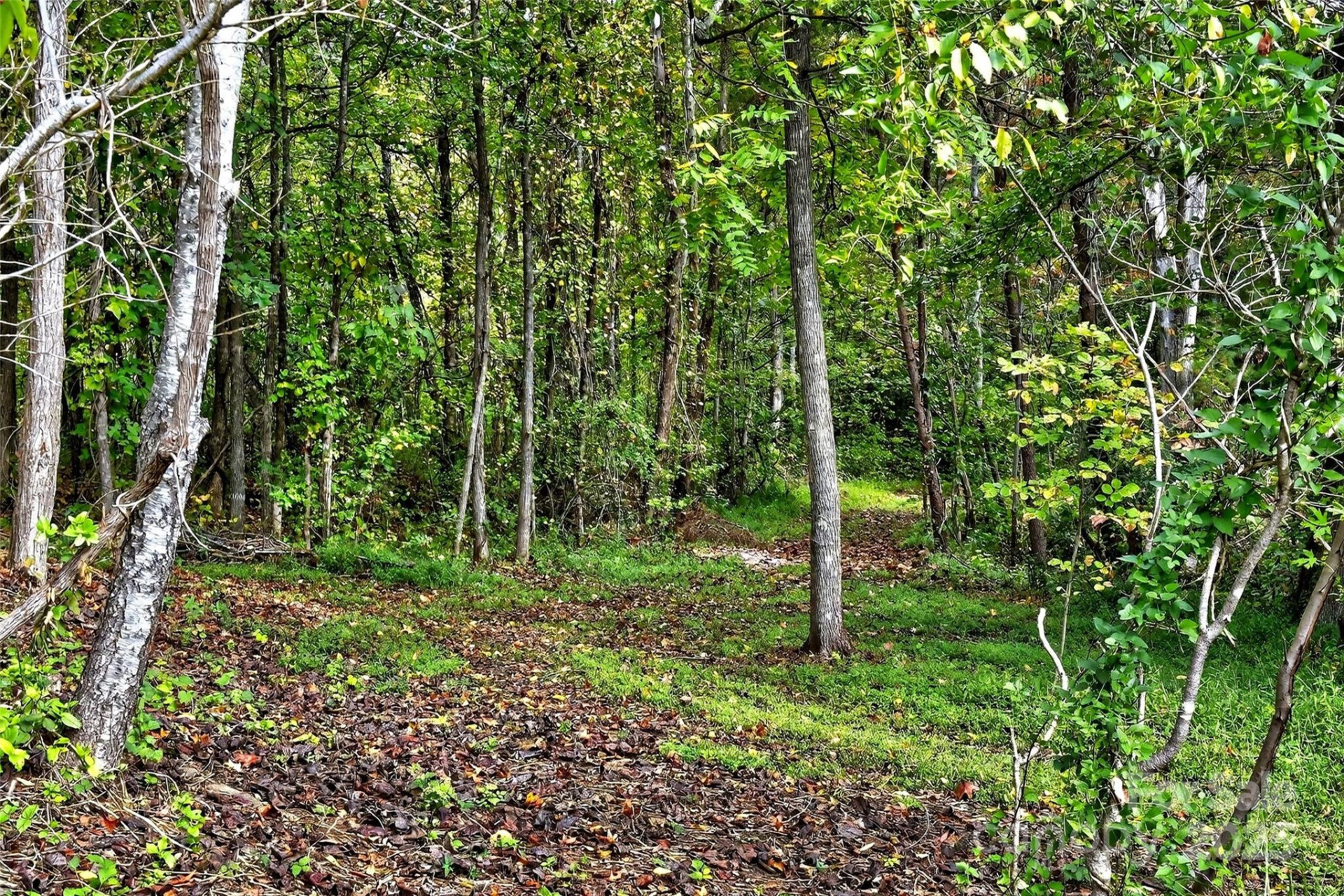 99999 Blue Ridge Drive - Photo 17