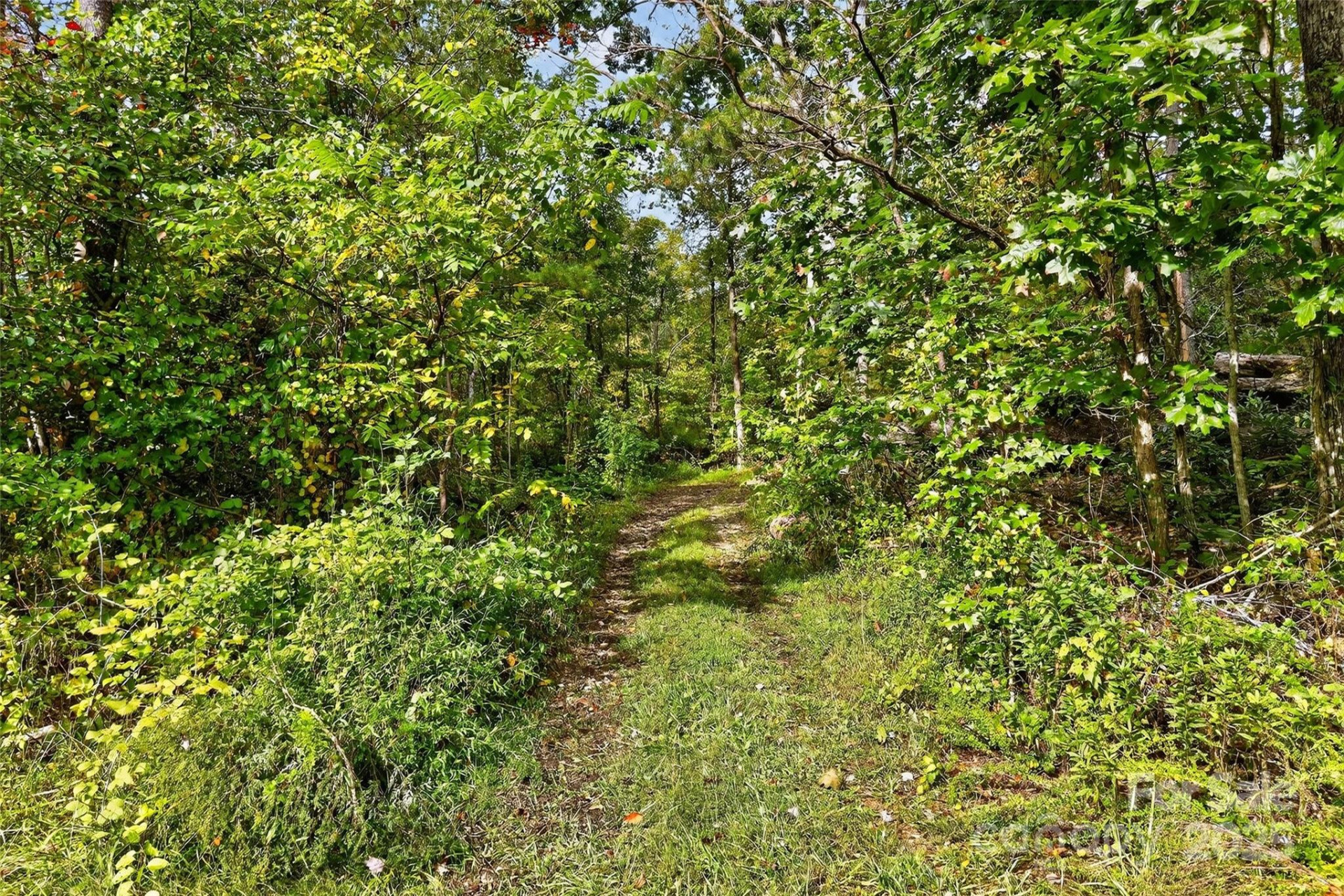 99999 Blue Ridge Drive - Photo 18