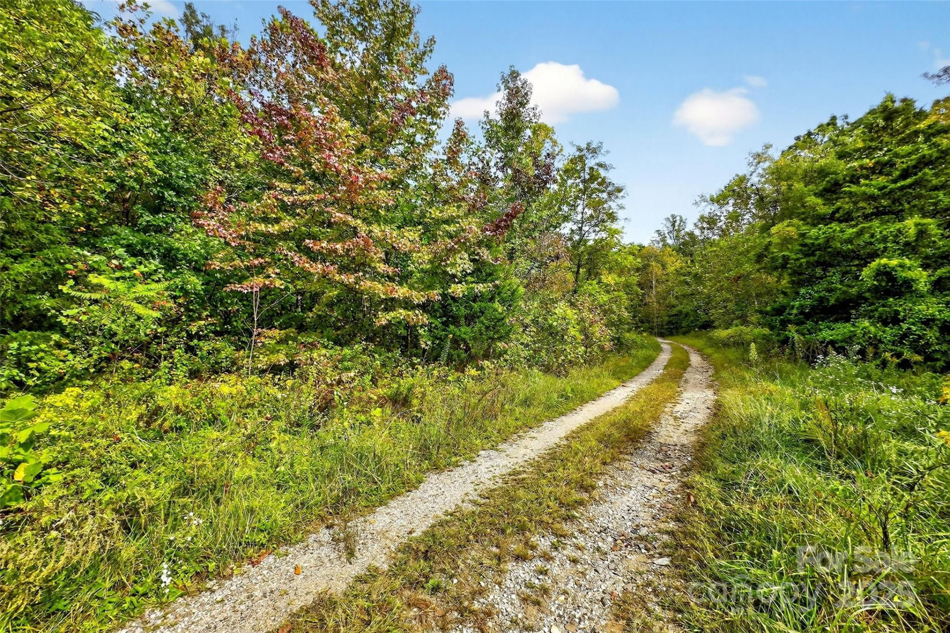 99999 Blue Ridge Drive - Photo 19