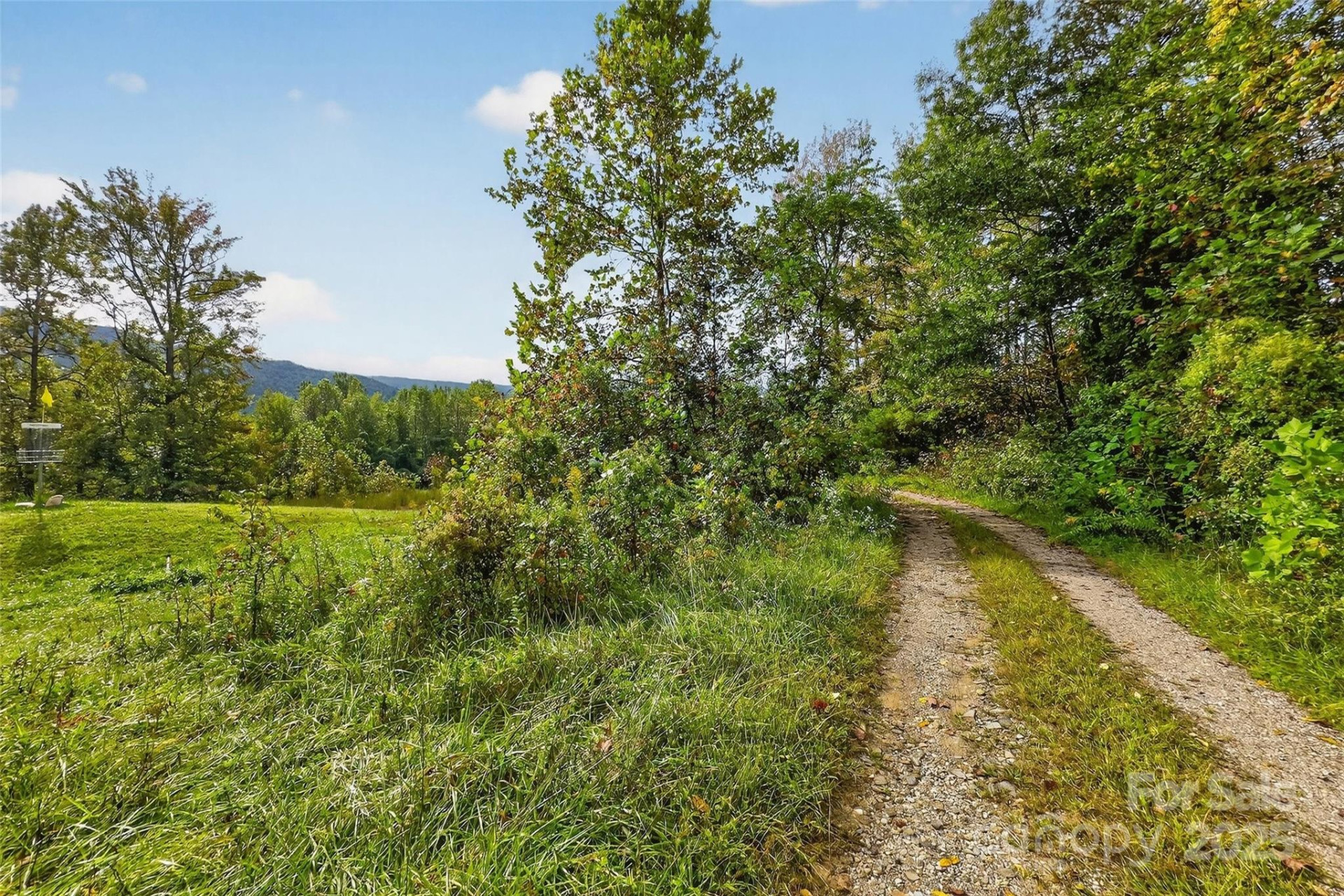 99999 Blue Ridge Drive - Photo 20