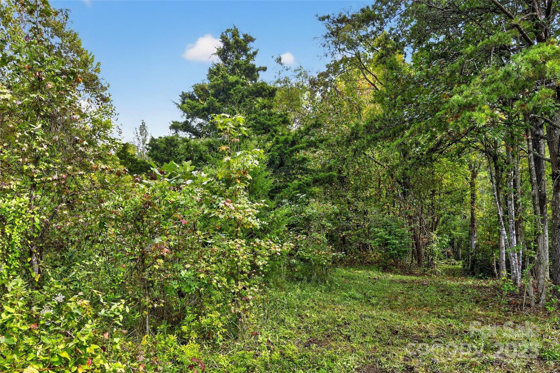 99999 Blue Ridge Drive - Photo 21