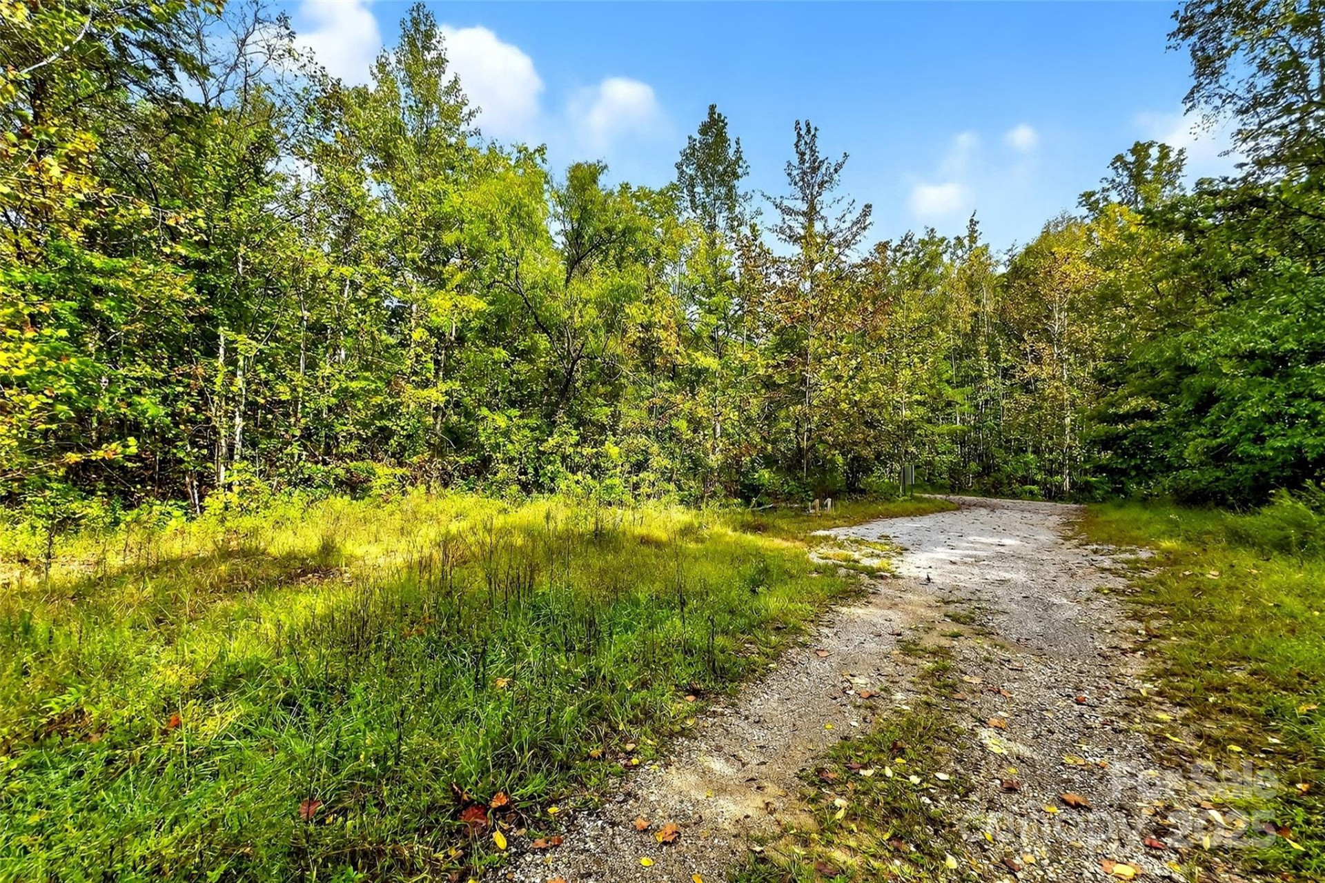 99999 Blue Ridge Drive - Photo 22