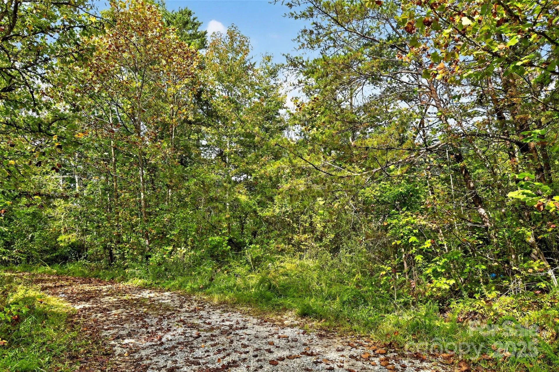 99999 Blue Ridge Drive - Photo 23