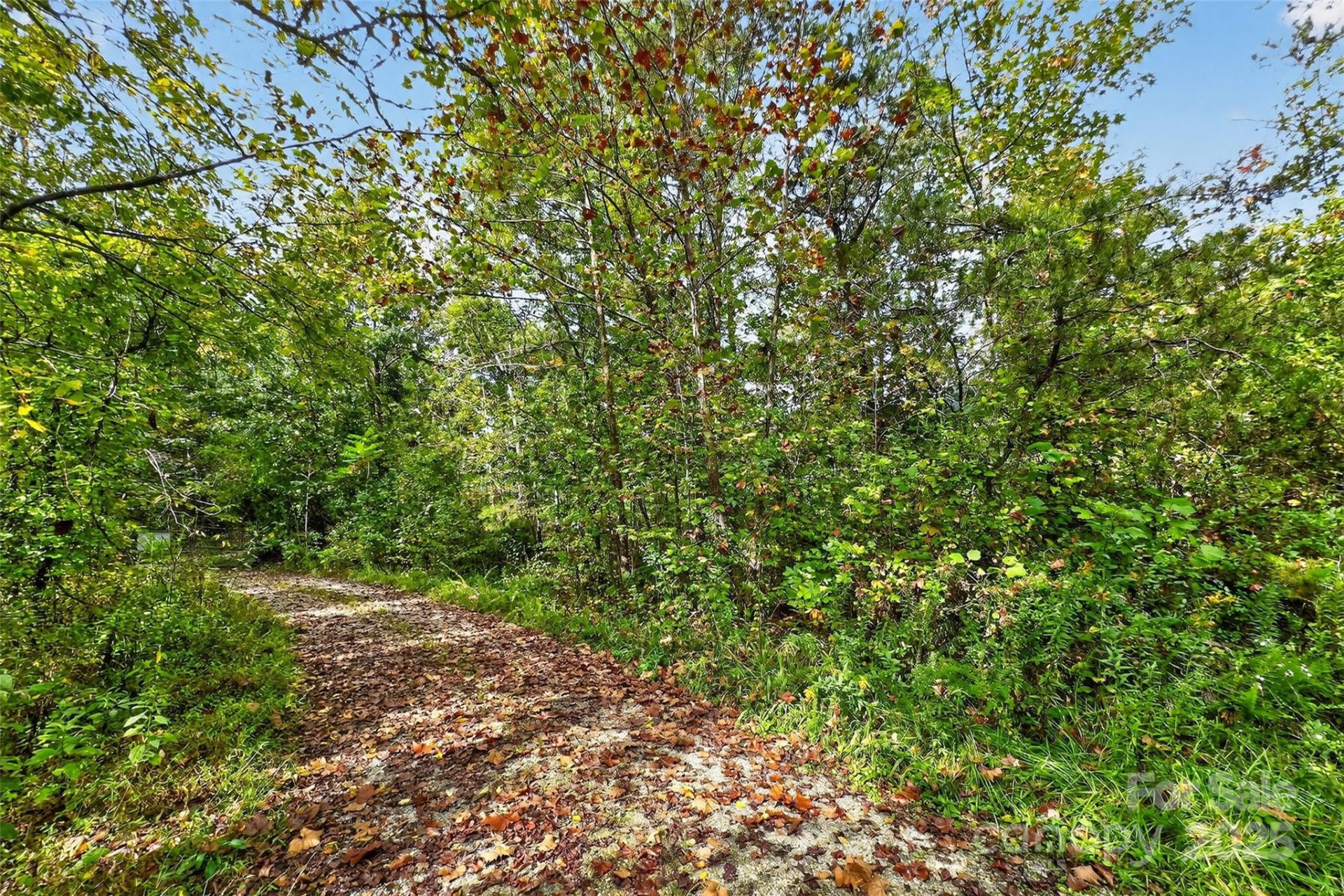 99999 Blue Ridge Drive - Photo 24