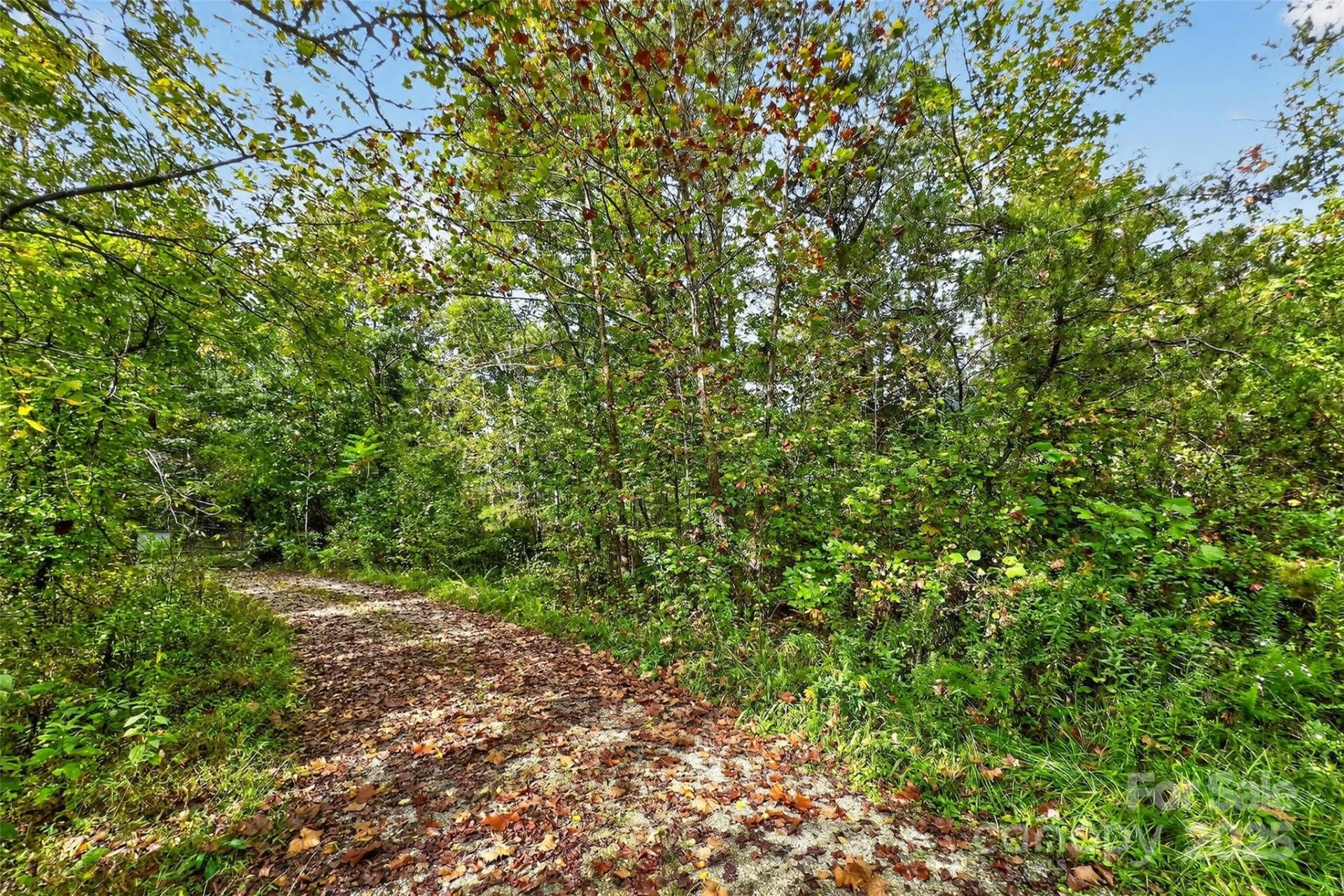 99999 Blue Ridge Drive - Photo 24