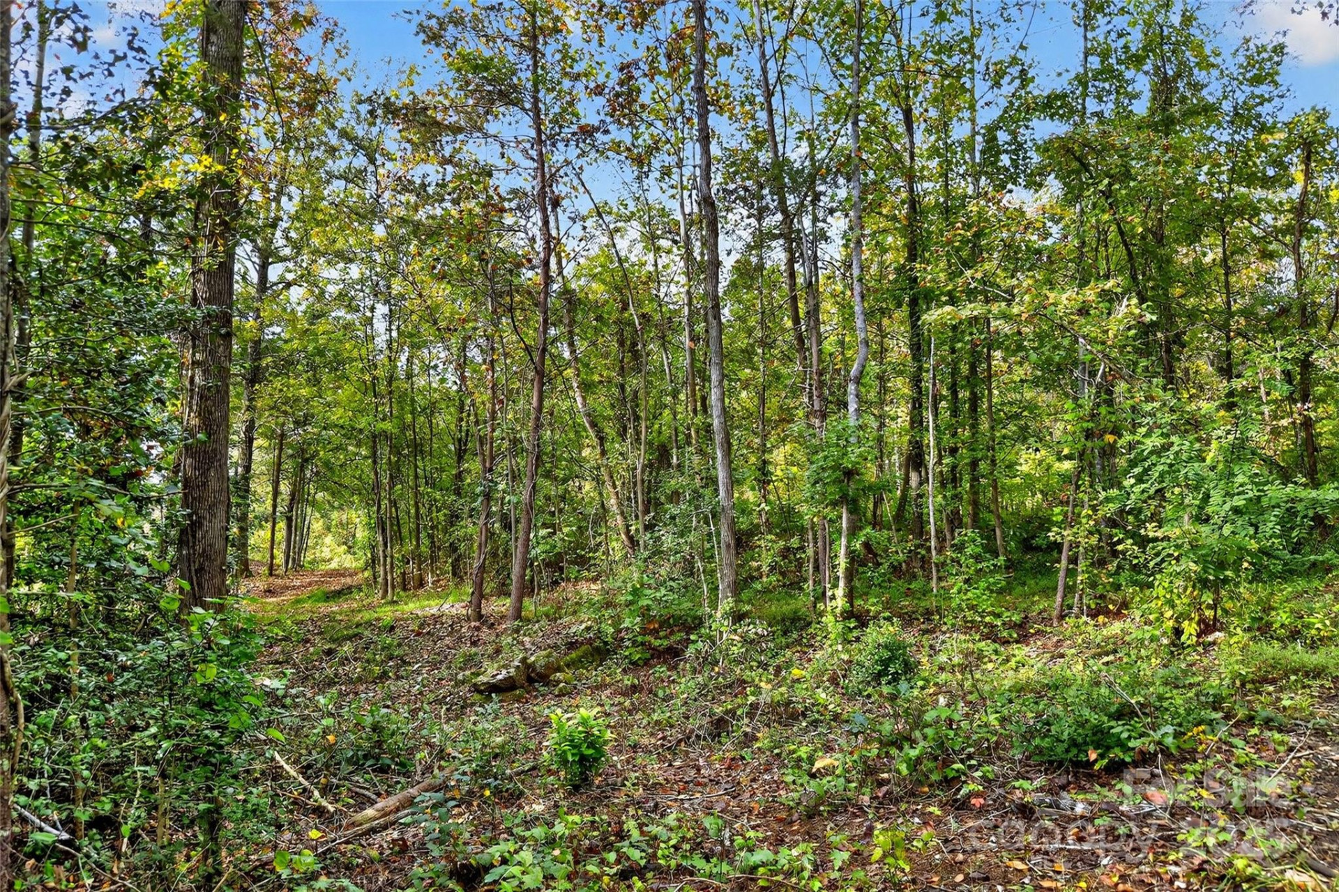 99999 Blue Ridge Drive - Photo 25