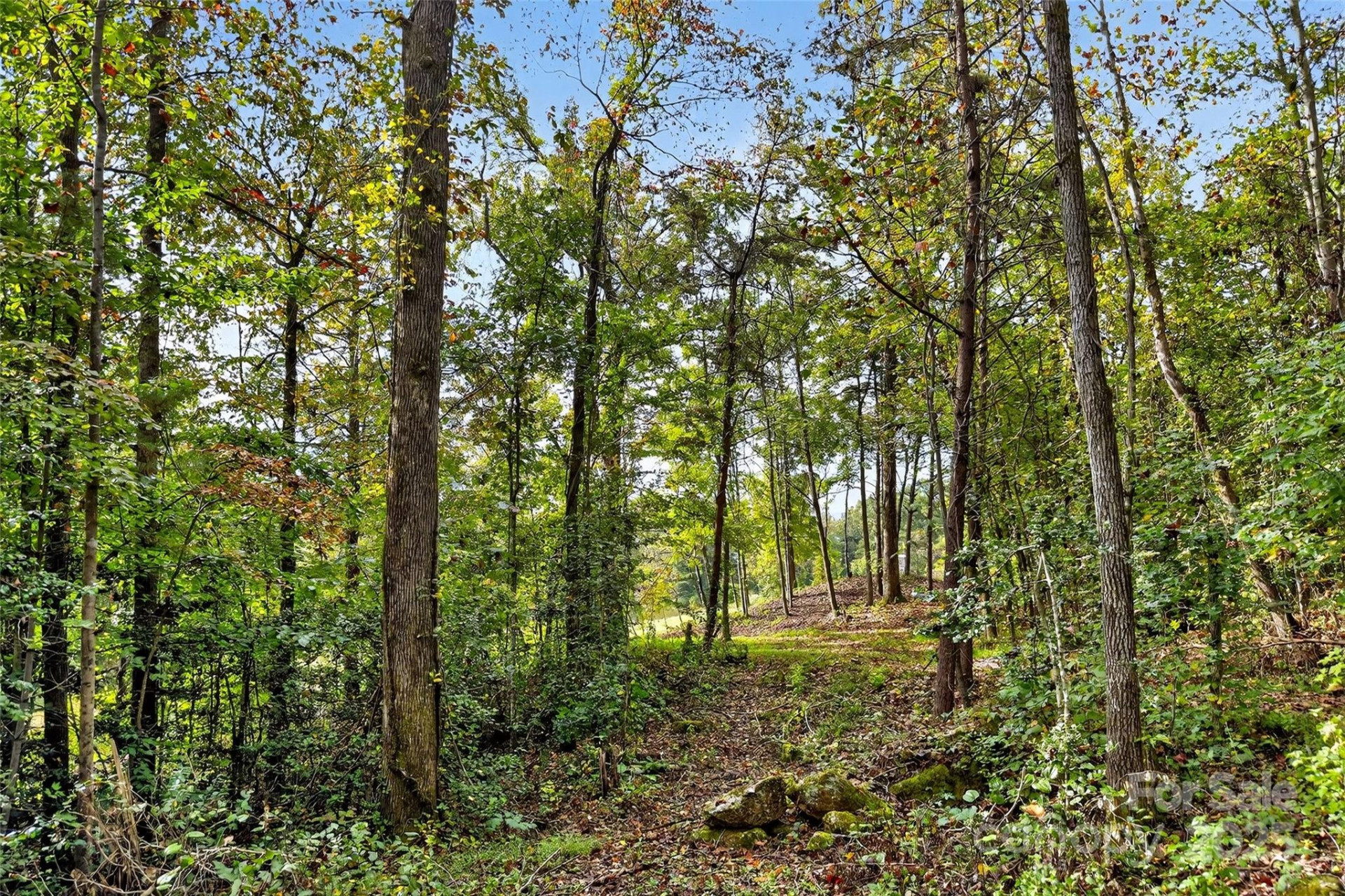 99999 Blue Ridge Drive - Photo 26