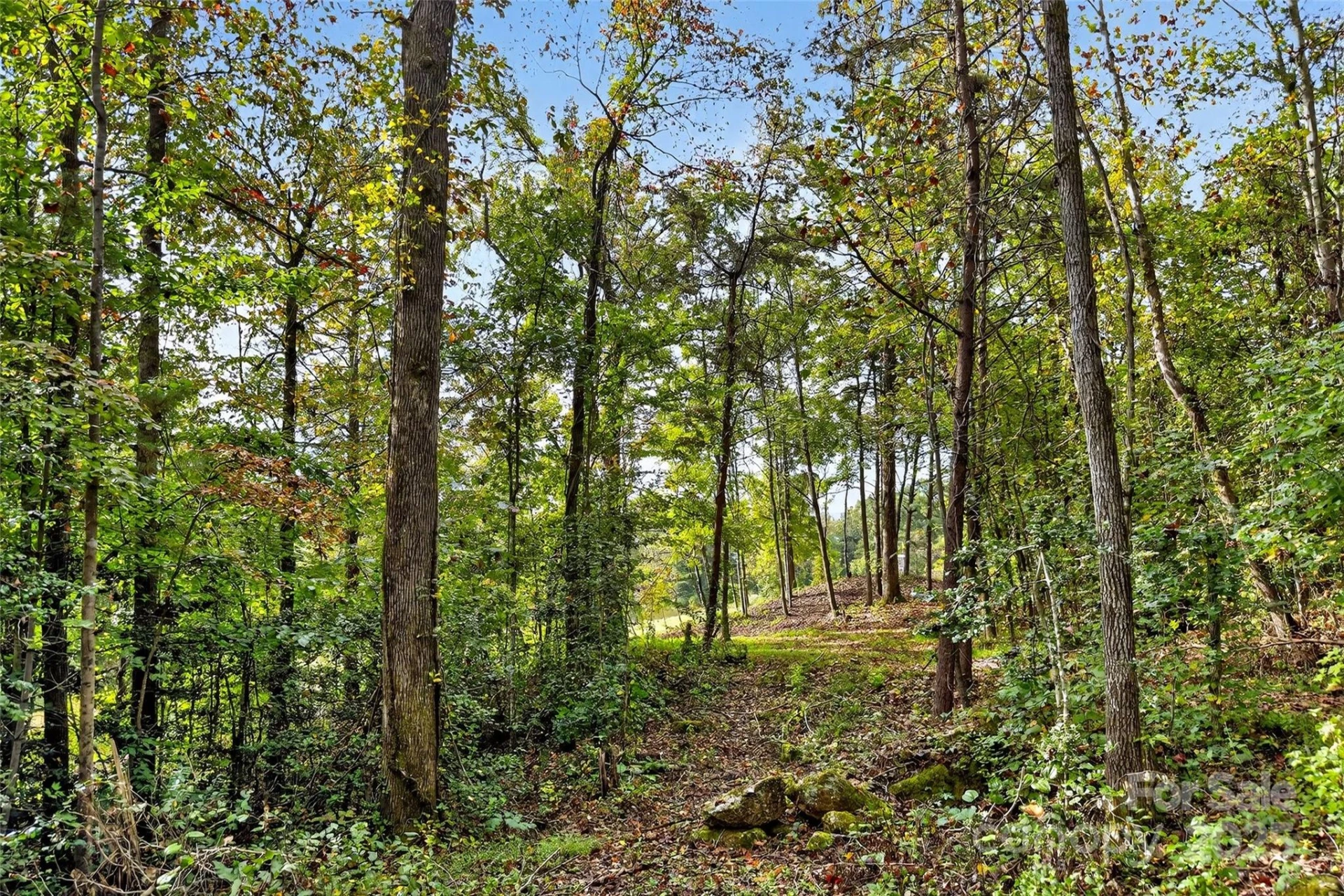 99999 Blue Ridge Drive - Photo 26