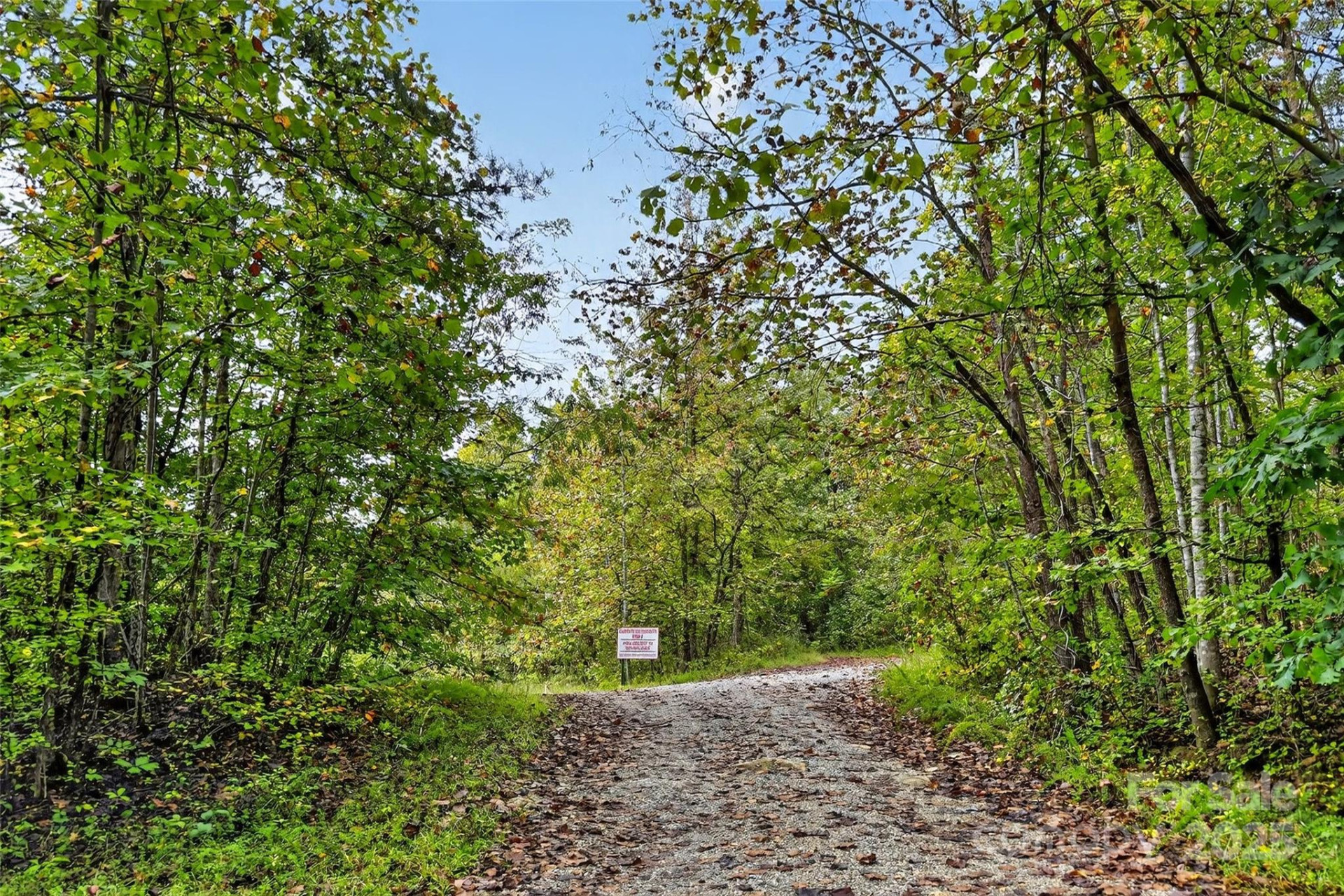 99999 Blue Ridge Drive - Photo 27