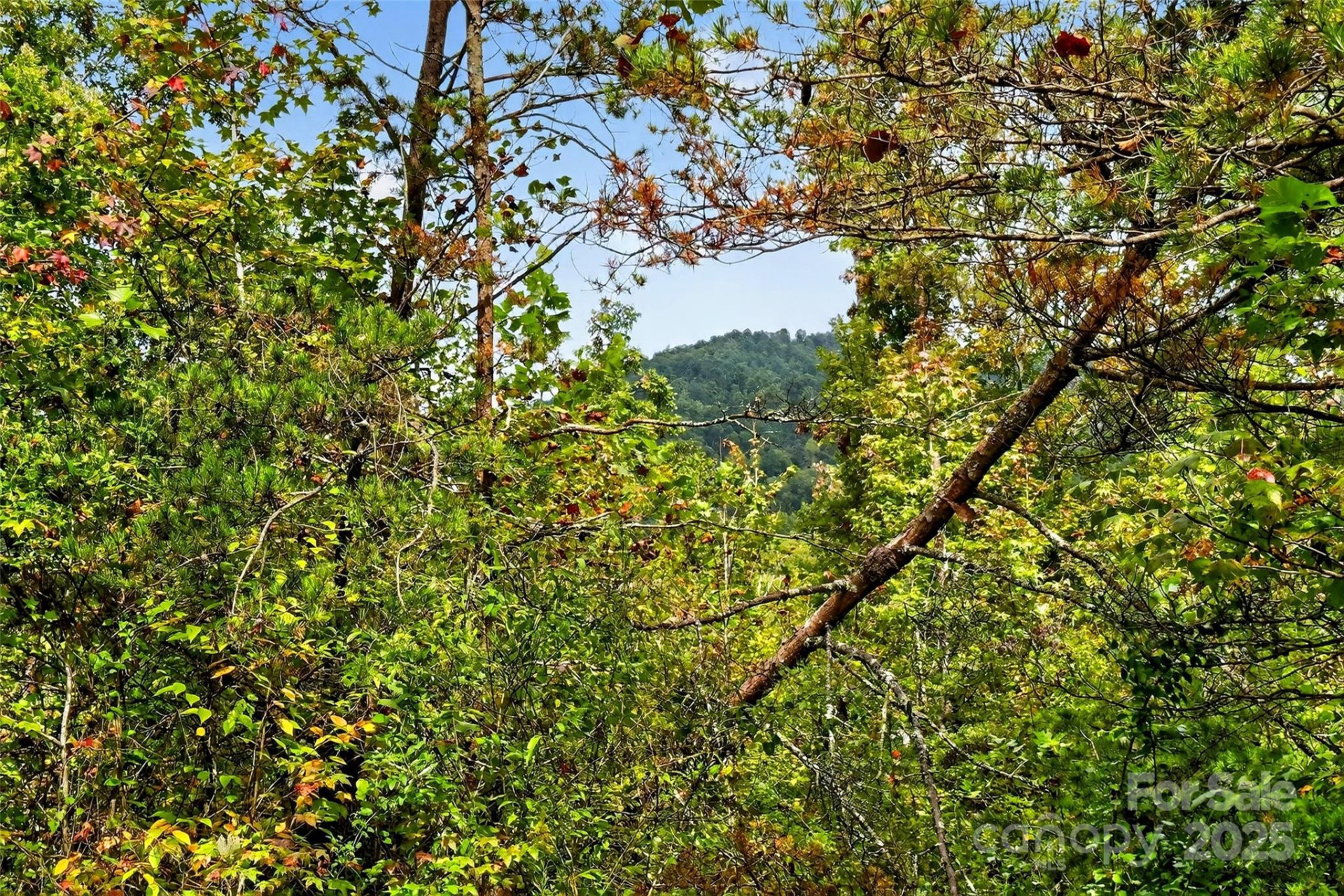 99999 Blue Ridge Drive - Photo 28