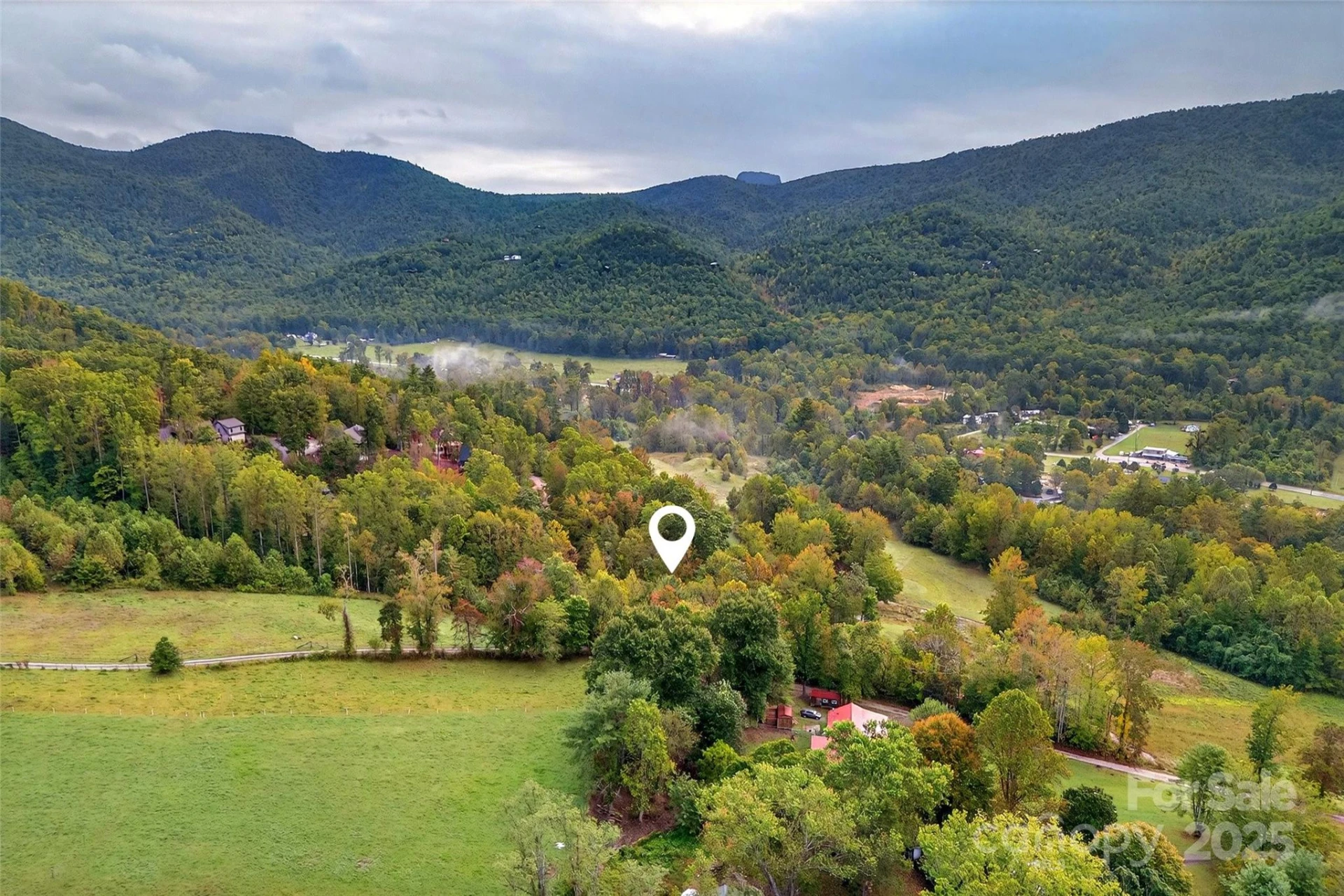 99999 Blue Ridge Drive - Photo 4