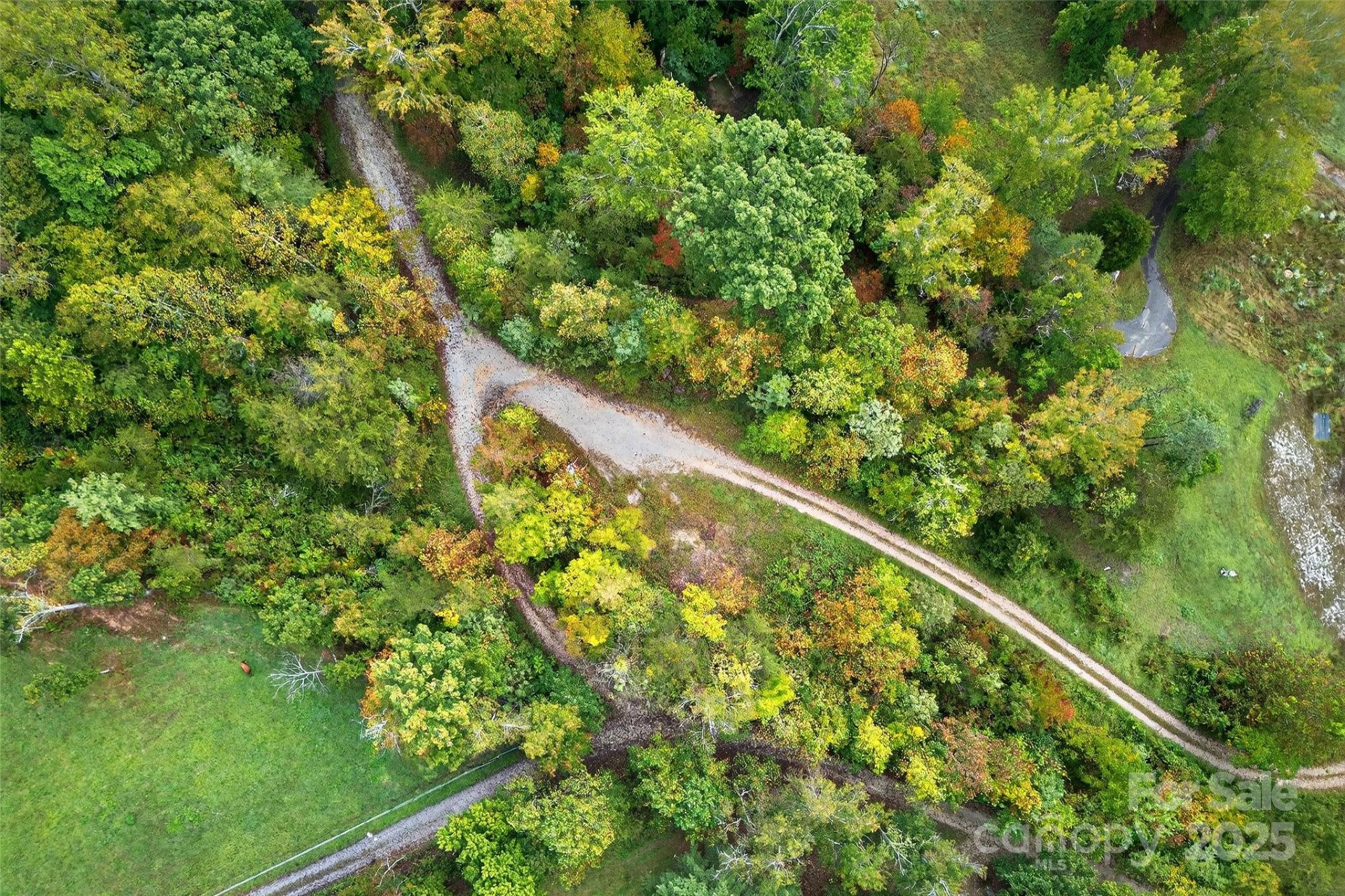 99999 Blue Ridge Drive - Photo 8