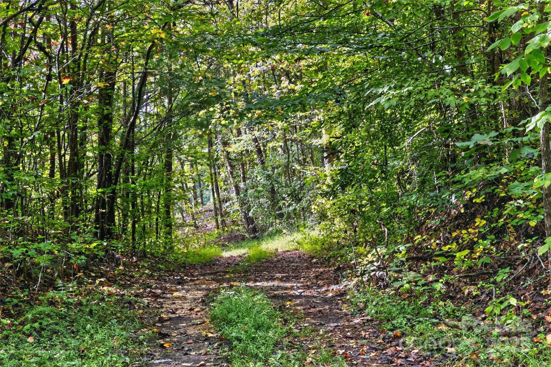 99999 Blue Ridge Drive - Photo 9