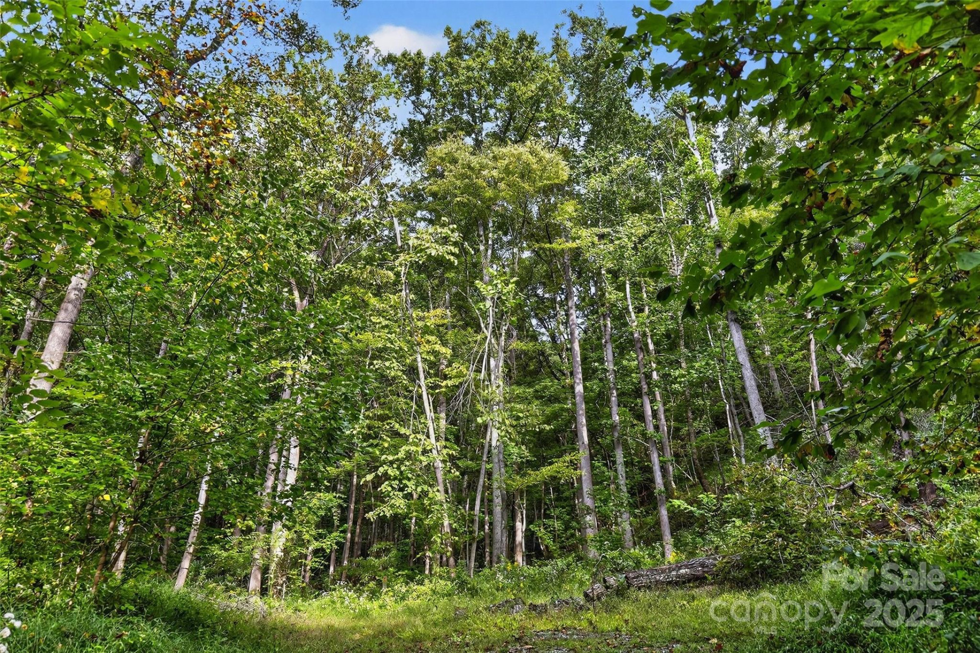 99999 Blue Ridge Drive - Photo 10