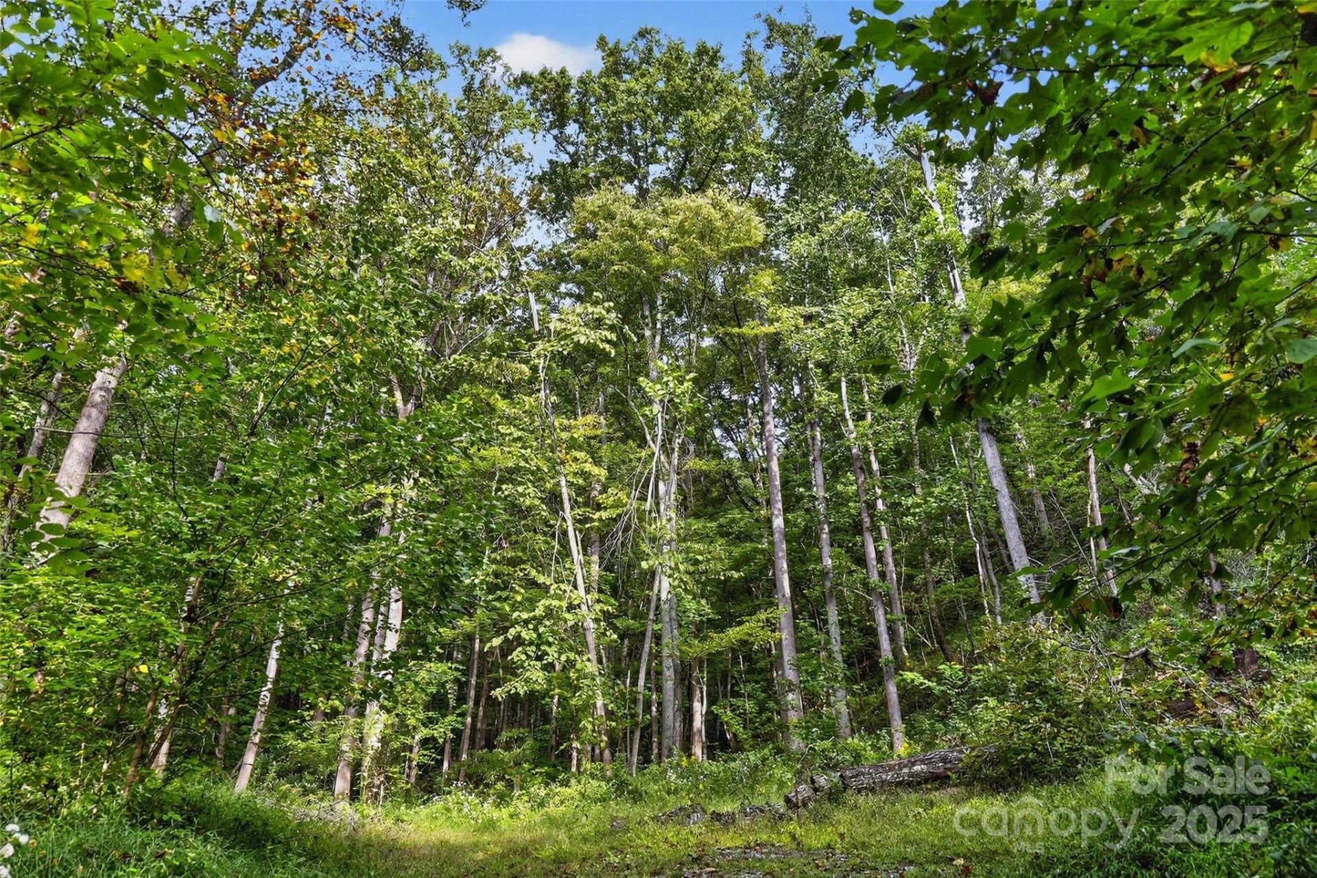 99999 Blue Ridge Drive - Photo 10