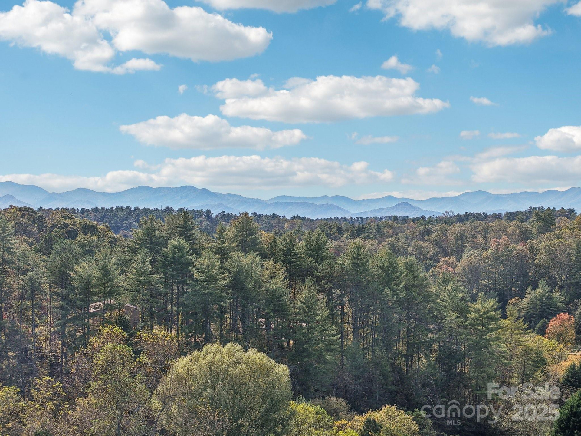 136 Ridge Brook Drive - Photo 5