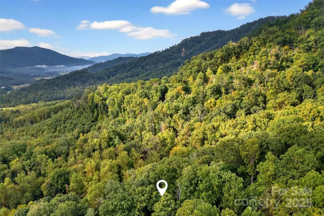 99999 Rocky Branch Trail