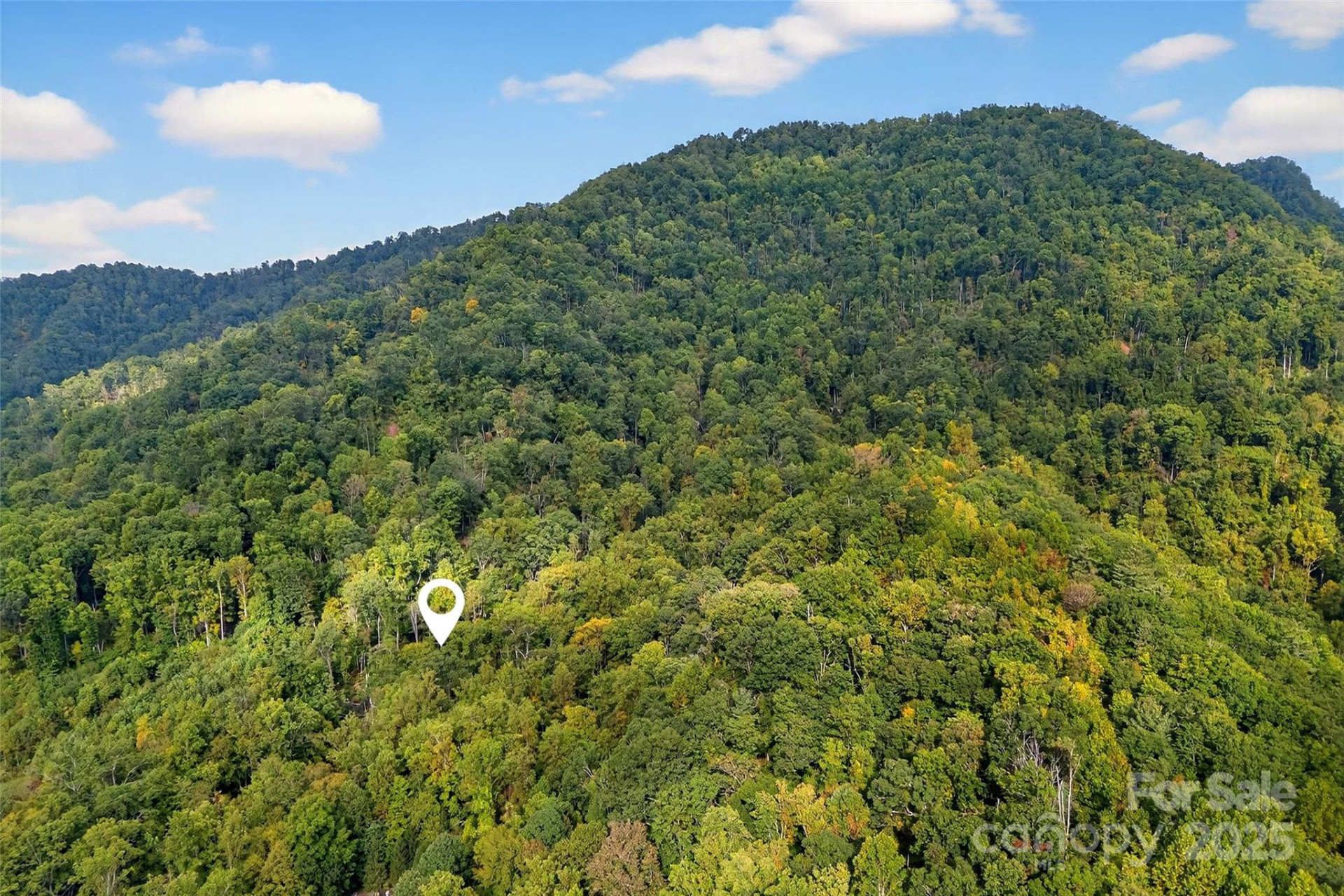 99999 Rocky Branch Trail - Photo 2