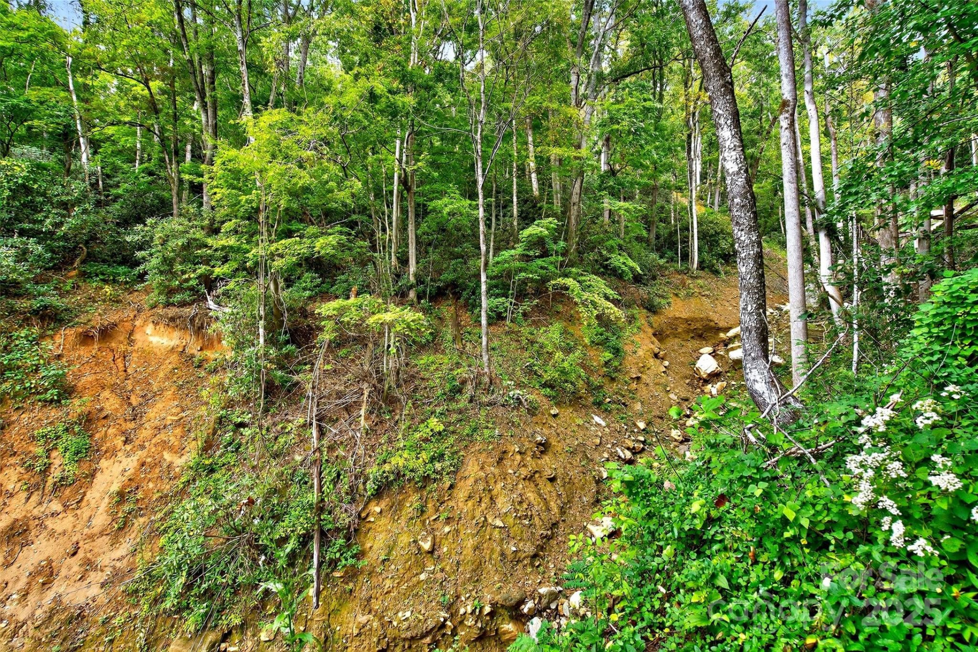 99999 Rocky Branch Trail - Photo 11