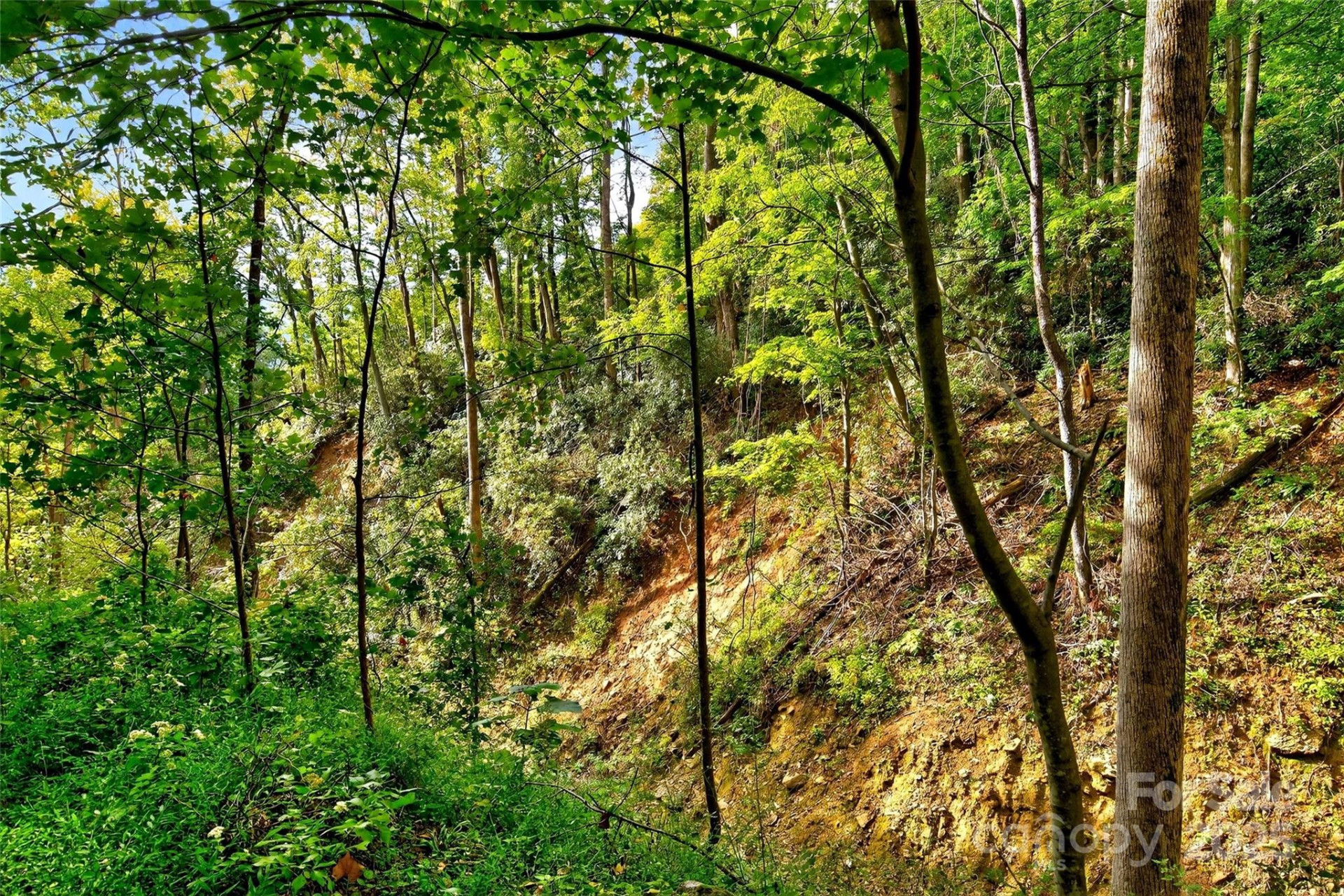 99999 Rocky Branch Trail - Photo 15