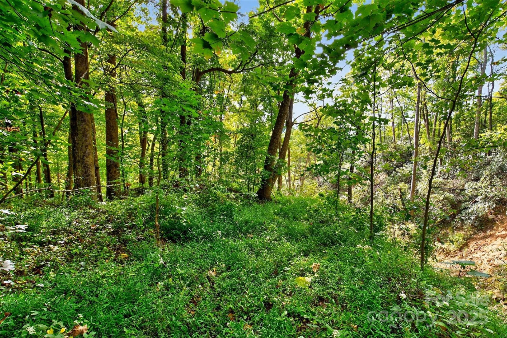 99999 Rocky Branch Trail - Photo 16