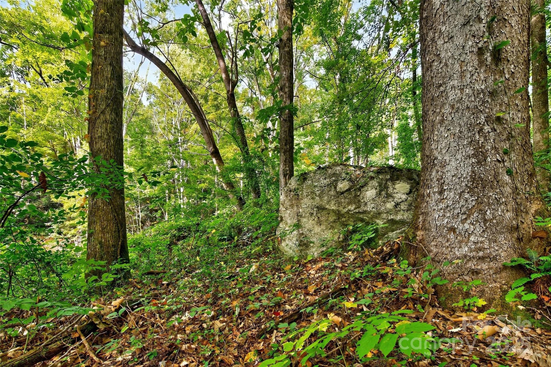 99999 Rocky Branch Trail - Photo 19