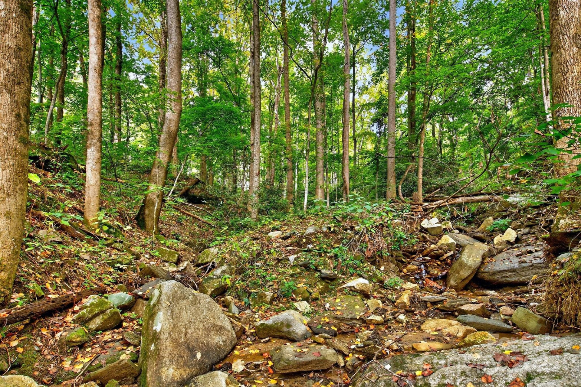 99999 Rocky Branch Trail - Photo 20