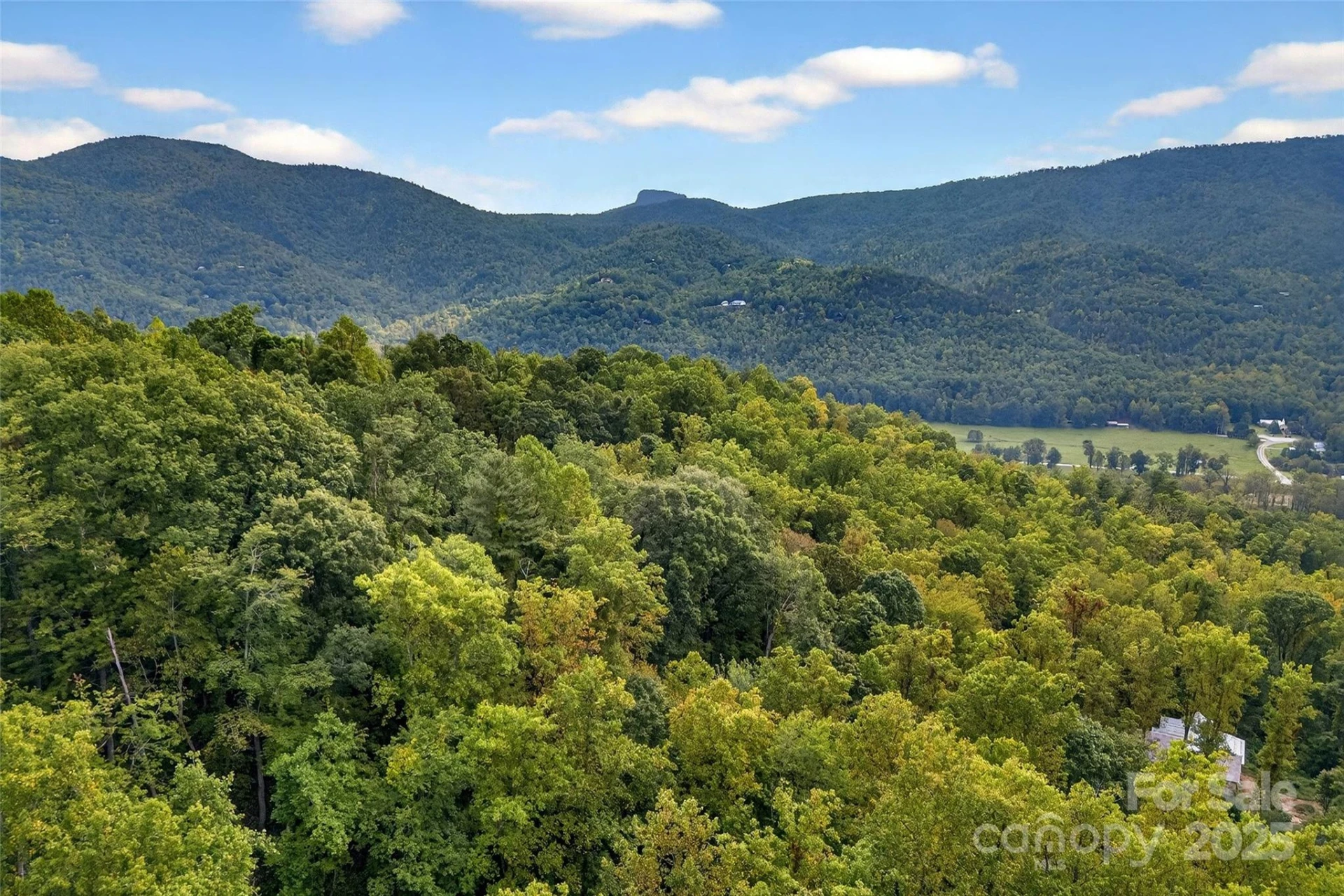 99999 Rocky Branch Trail - Photo 3