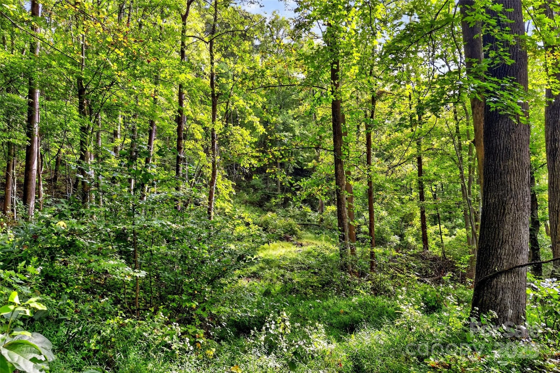 99999 Rocky Branch Trail - Photo 21