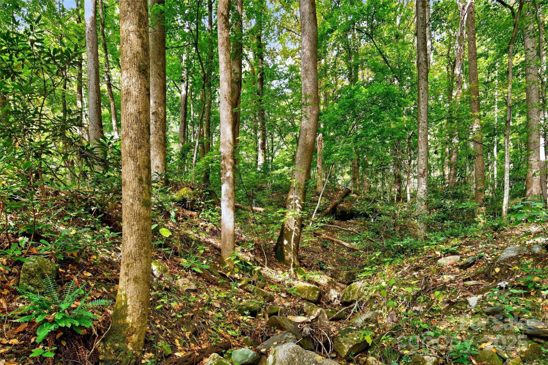 99999 Rocky Branch Trail - Photo 22