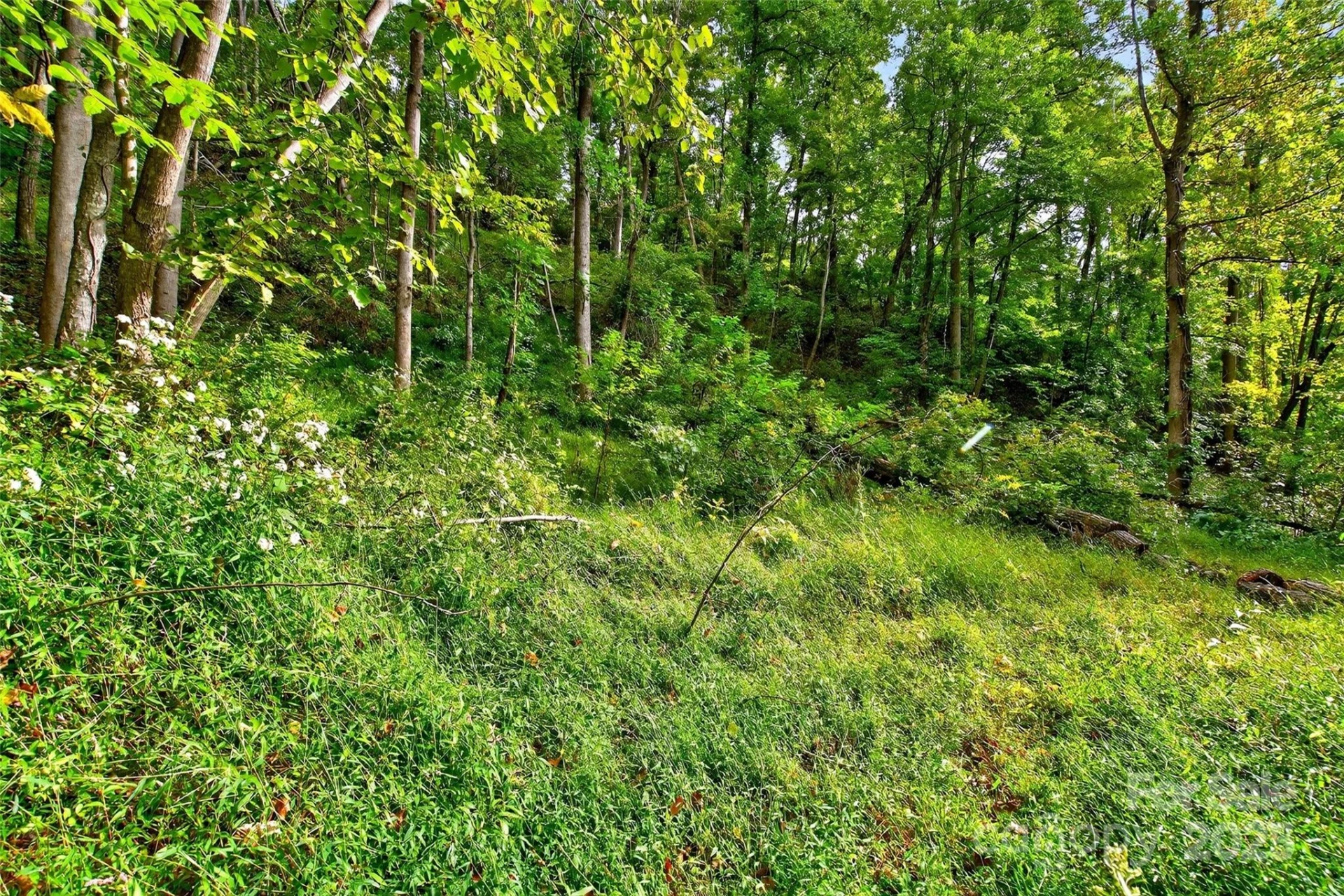 99999 Rocky Branch Trail - Photo 24