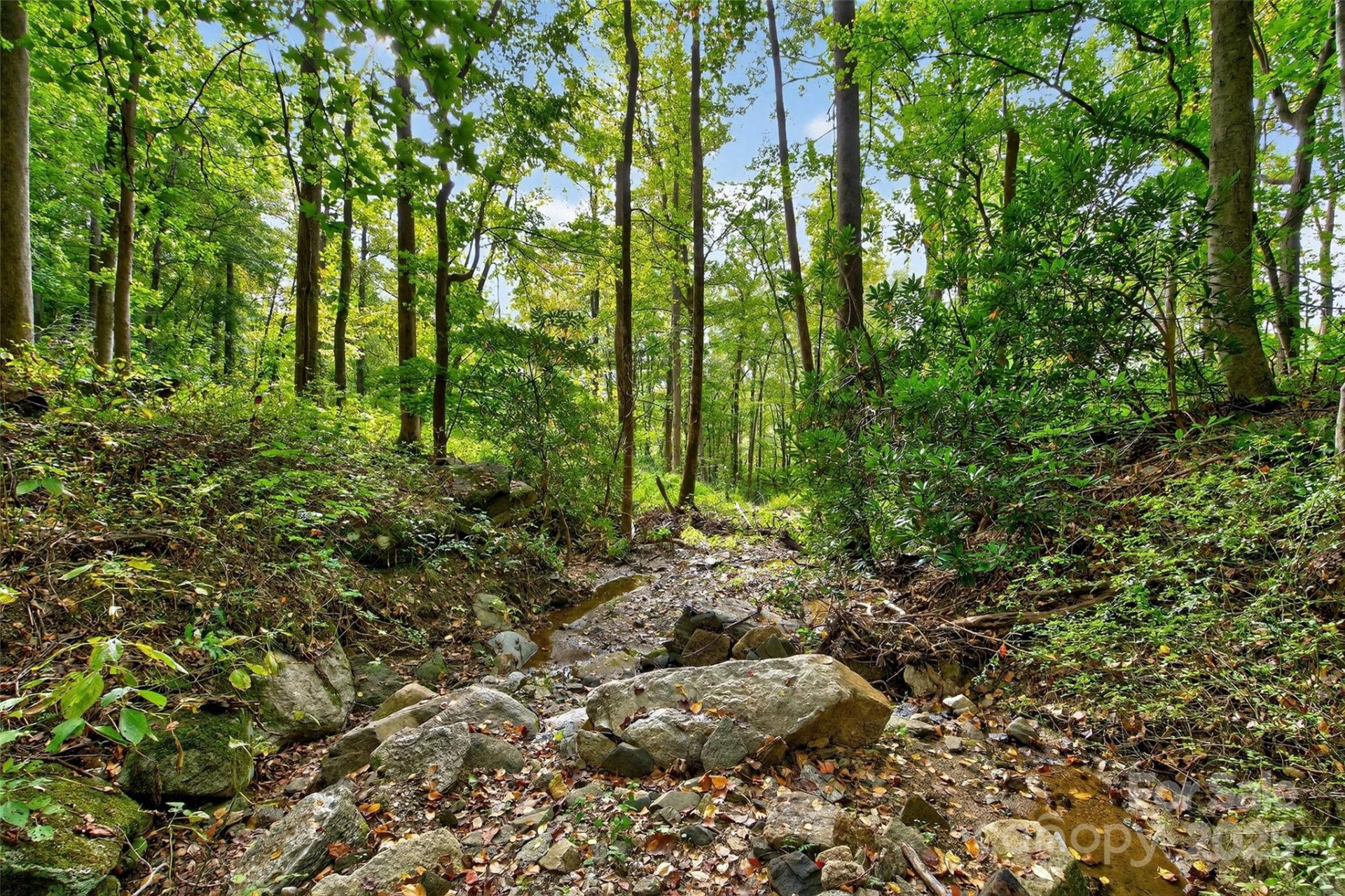 99999 Rocky Branch Trail - Photo 25