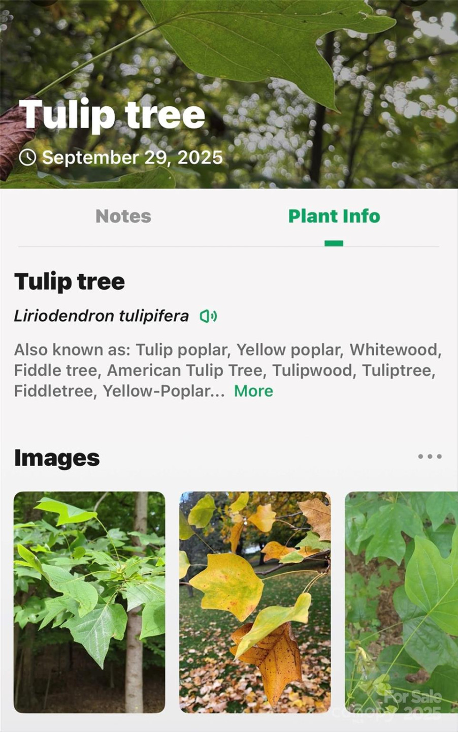 99999 Rocky Branch Trail - Photo 26