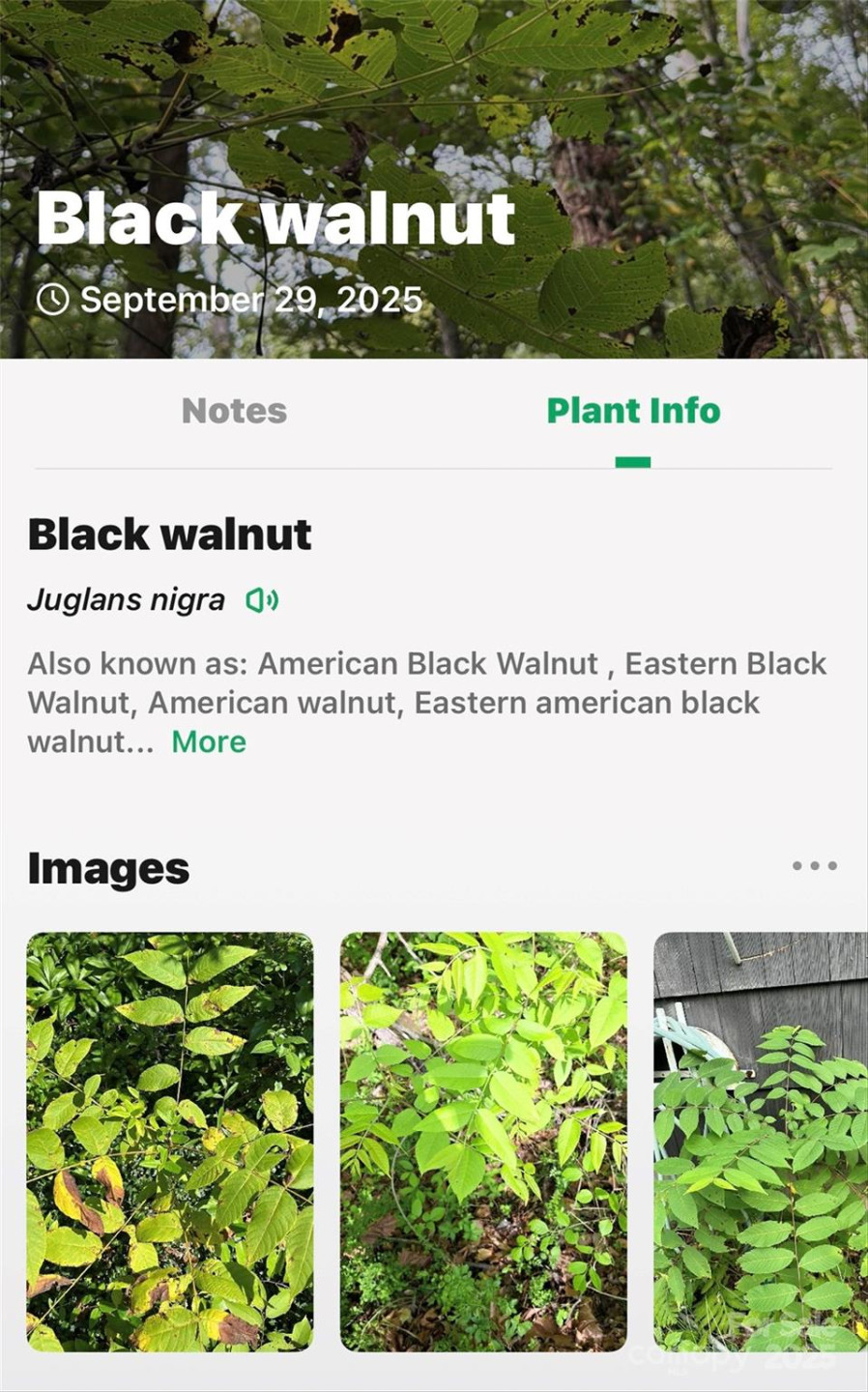 99999 Rocky Branch Trail - Photo 27