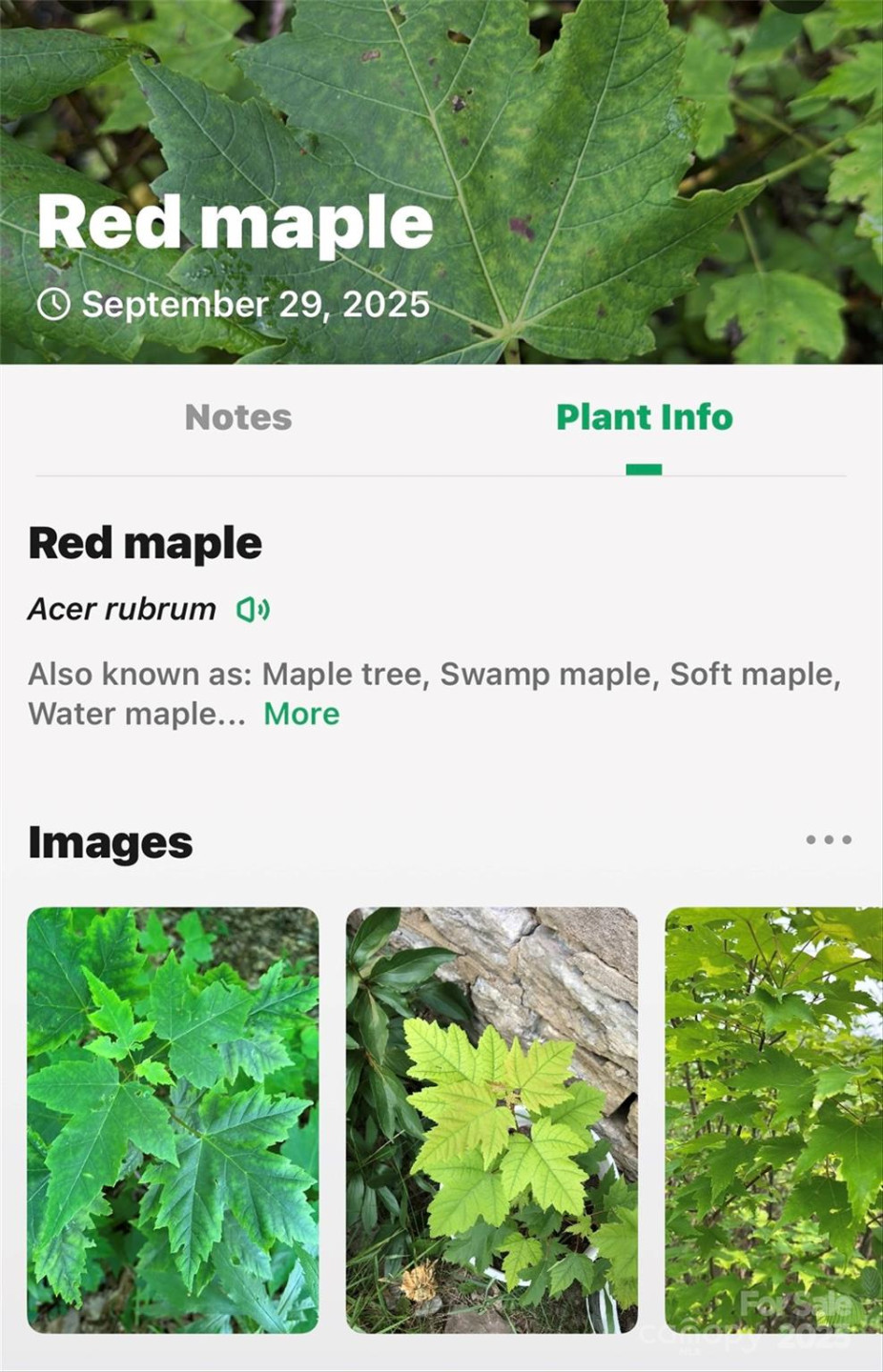 99999 Rocky Branch Trail - Photo 28