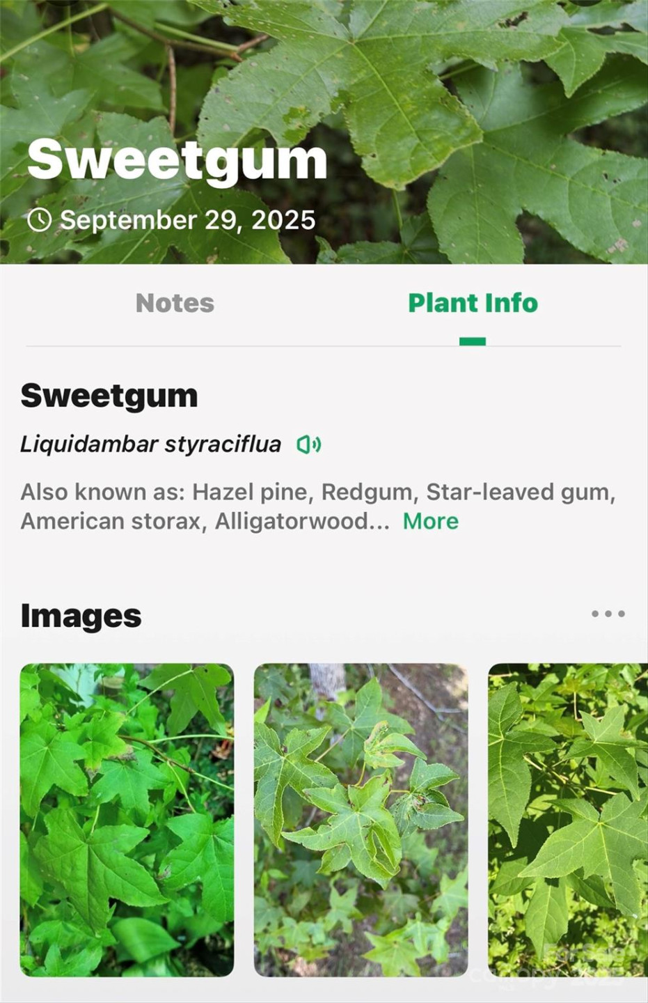 99999 Rocky Branch Trail - Photo 29