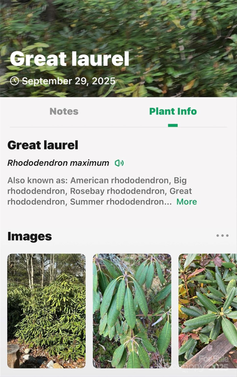 99999 Rocky Branch Trail - Photo 30