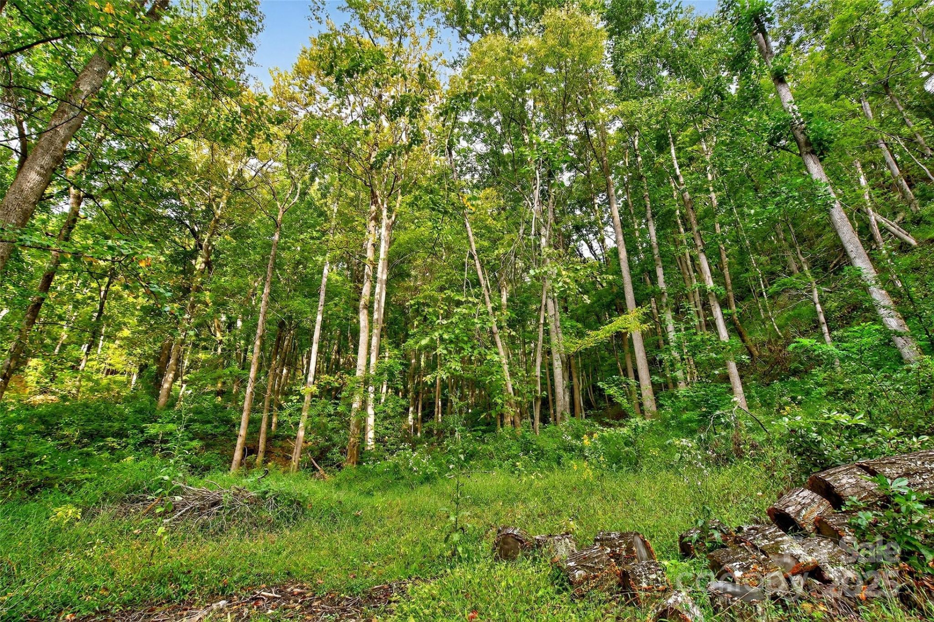 99999 Rocky Branch Trail - Photo 5