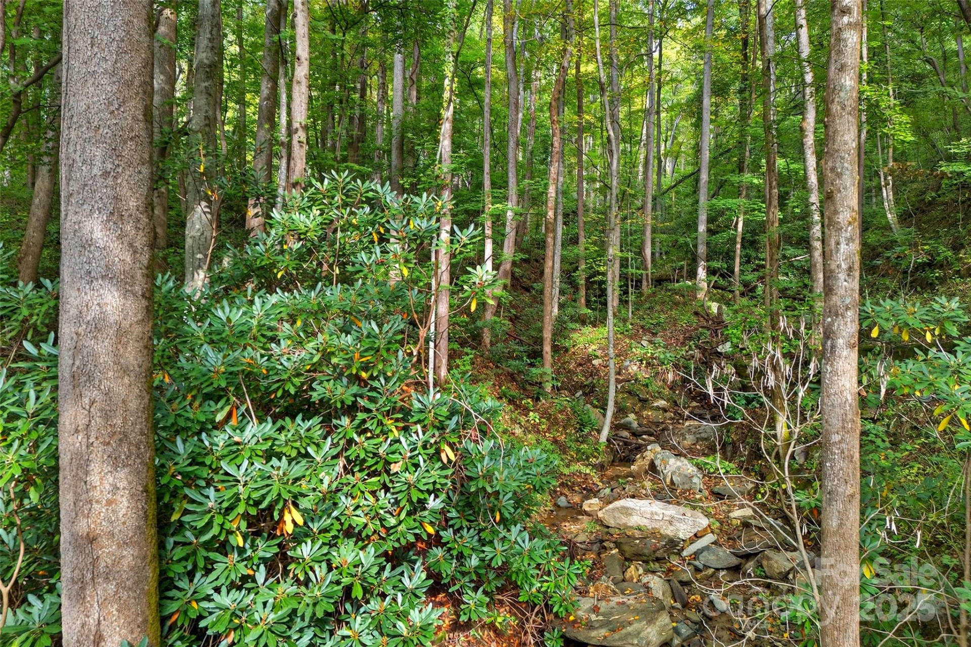 99999 Rocky Branch Trail - Photo 6