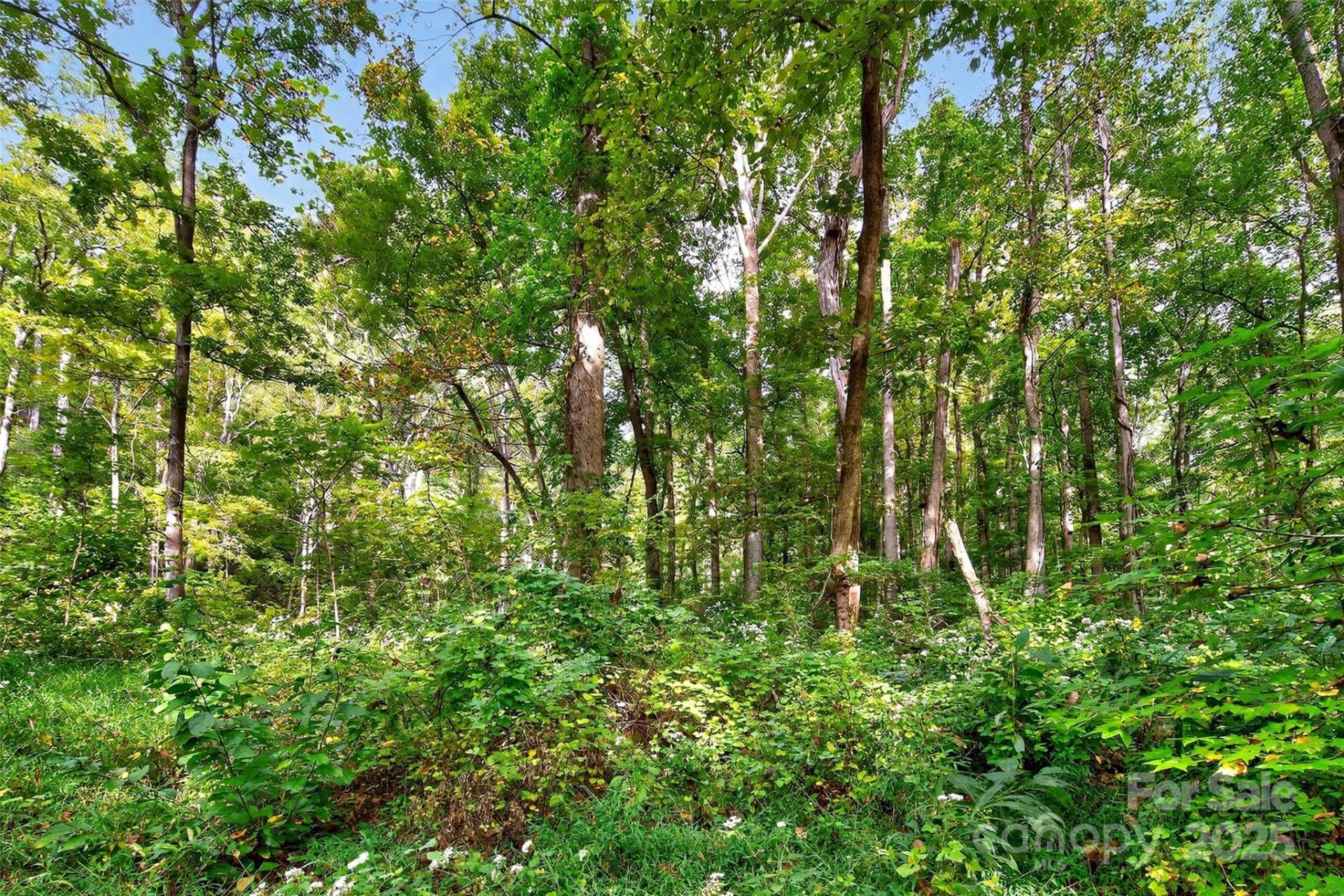 99999 Rocky Branch Trail - Photo 9