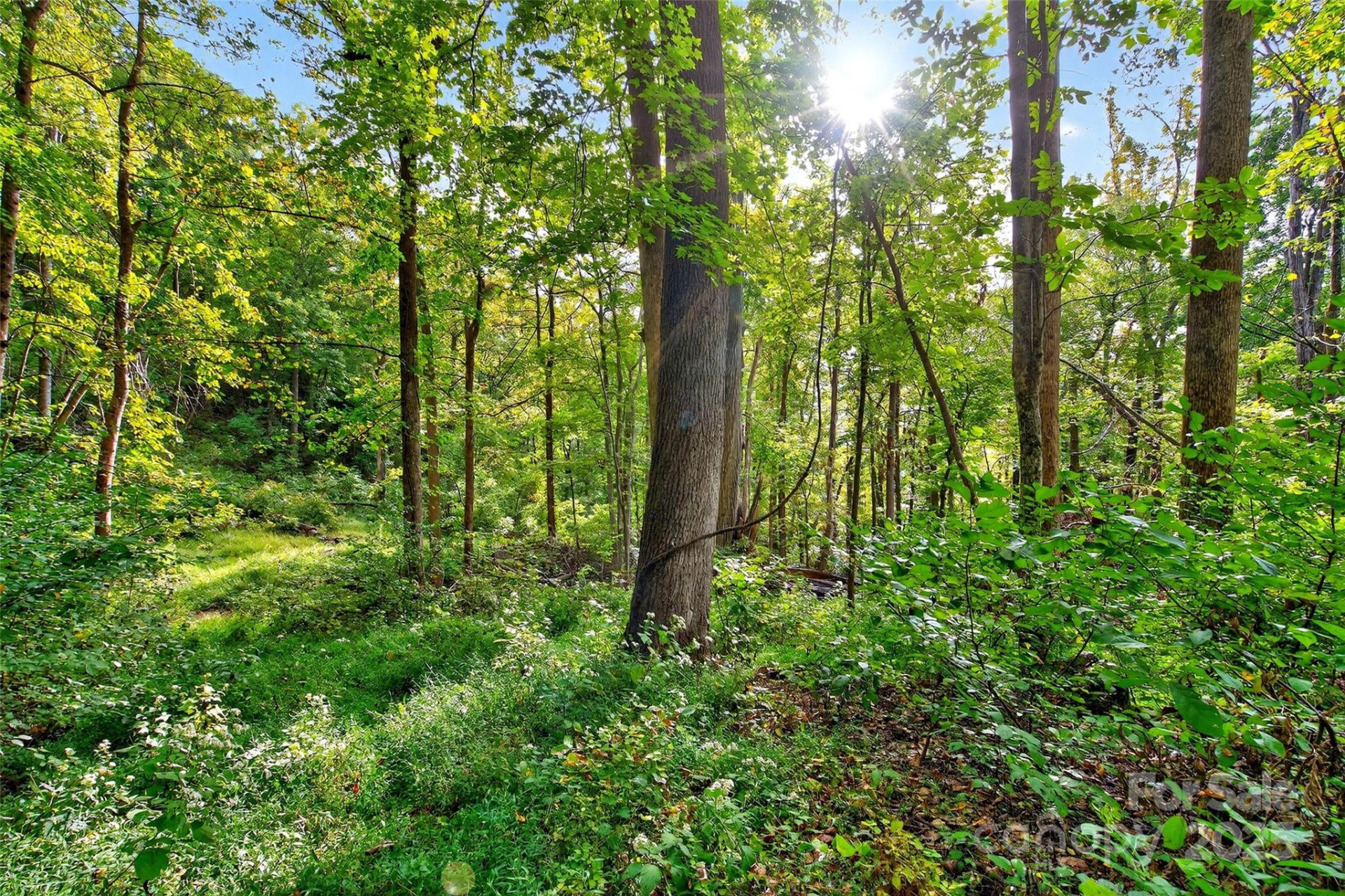 99999 Rocky Branch Trail - Photo 10