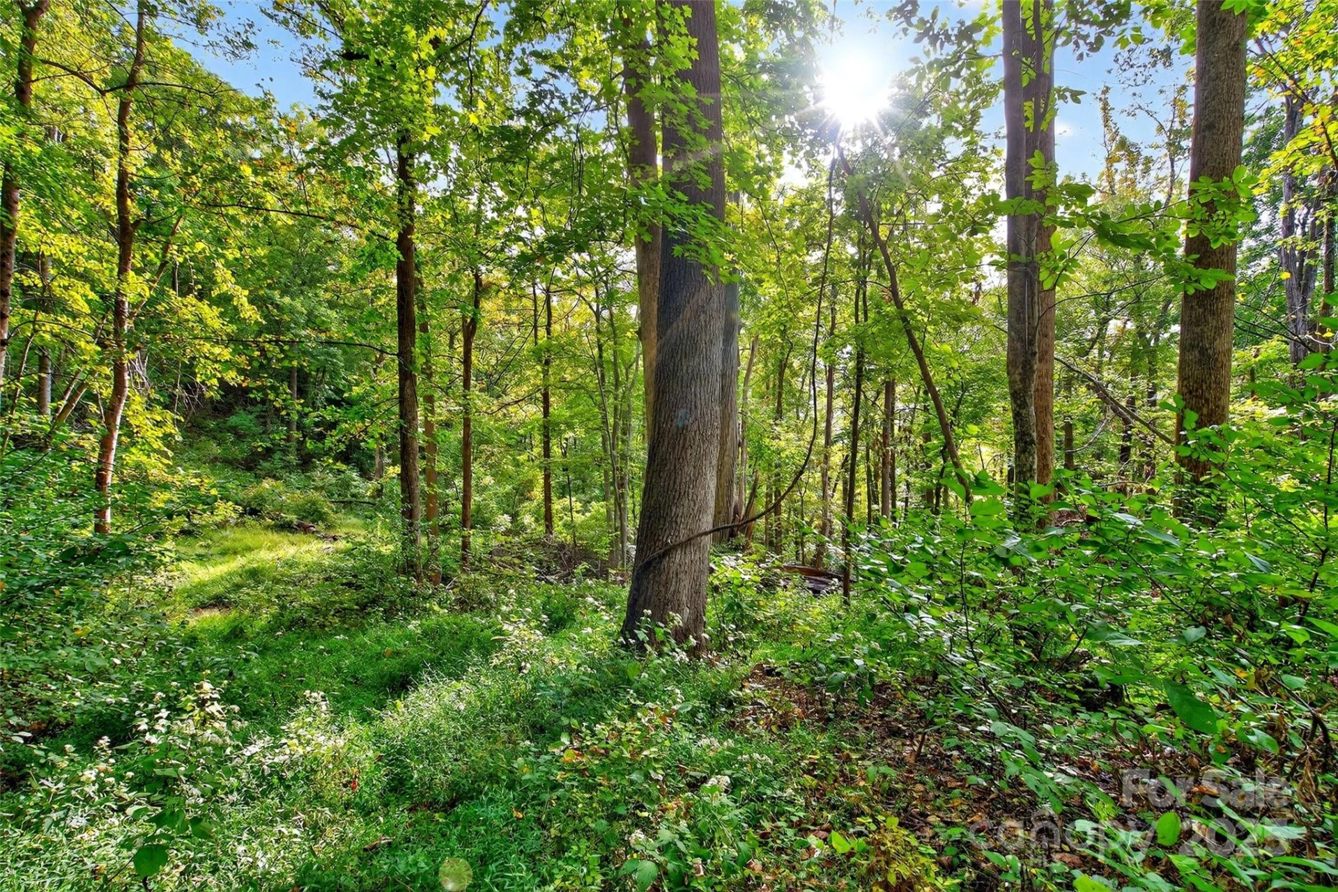 99999 Rocky Branch Trail - Photo 10