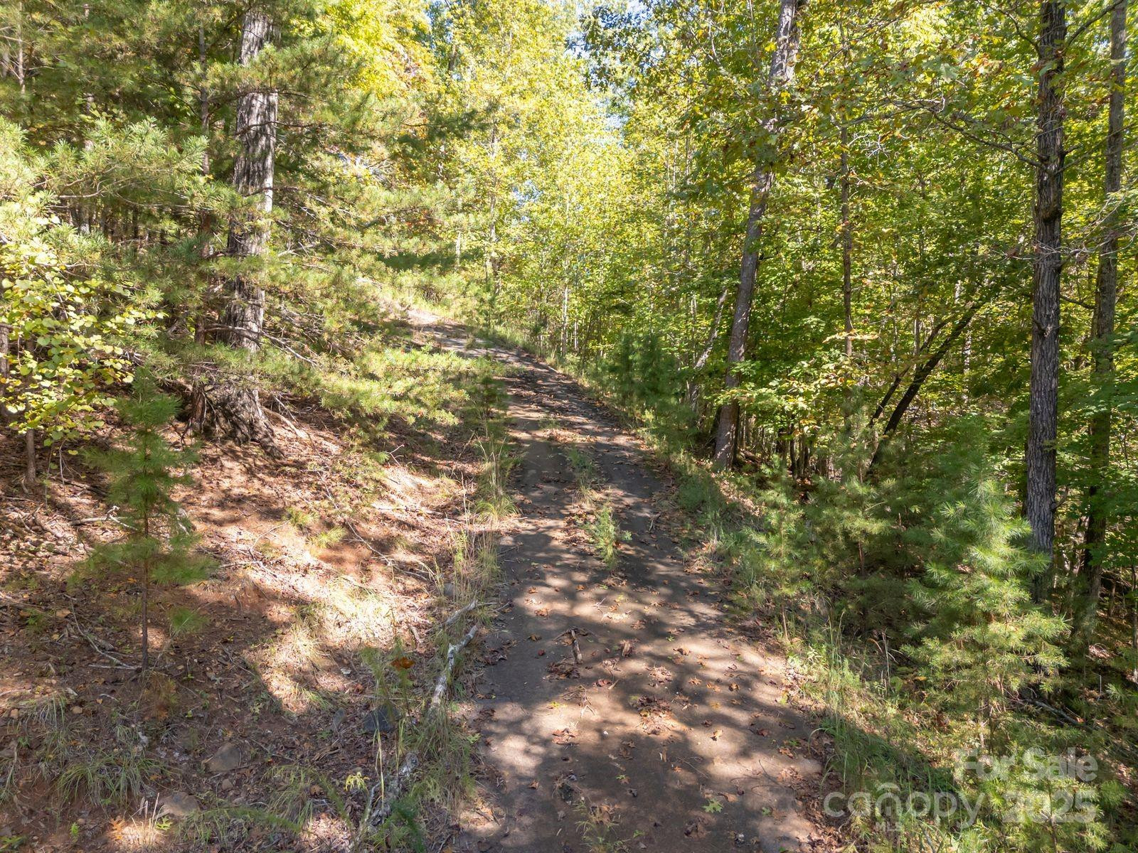 0 Mountain Parkway #29 - Photo 11