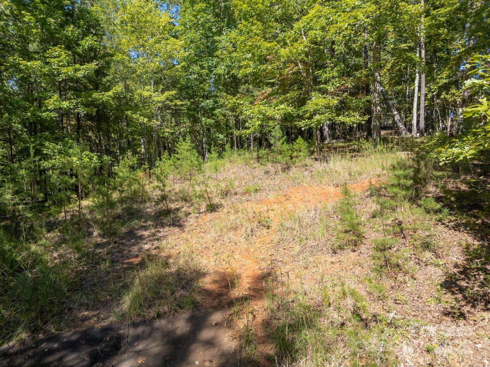 0 Mountain Parkway #29 - Photo 12