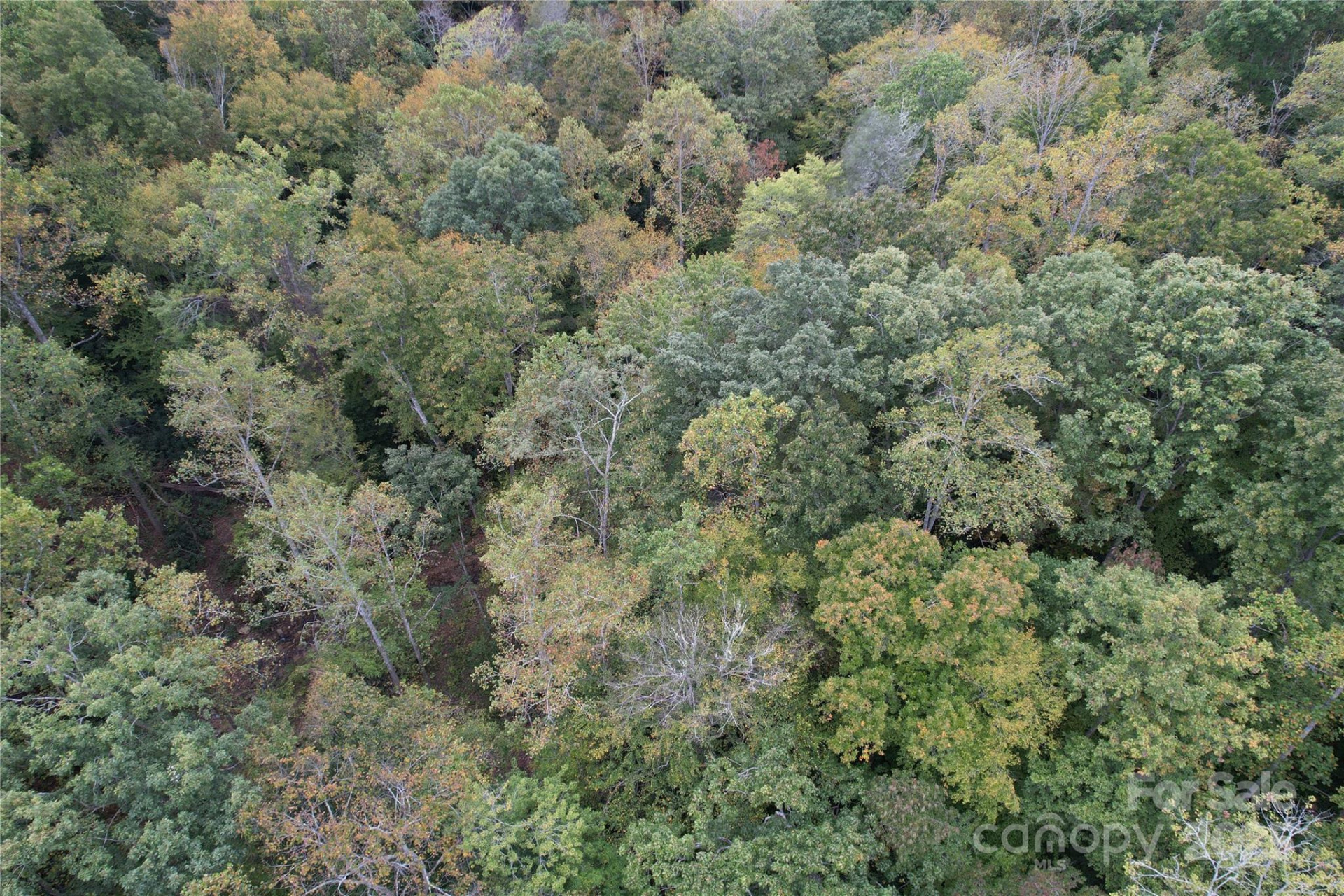 0 Mt Hebron Road - Photo 12