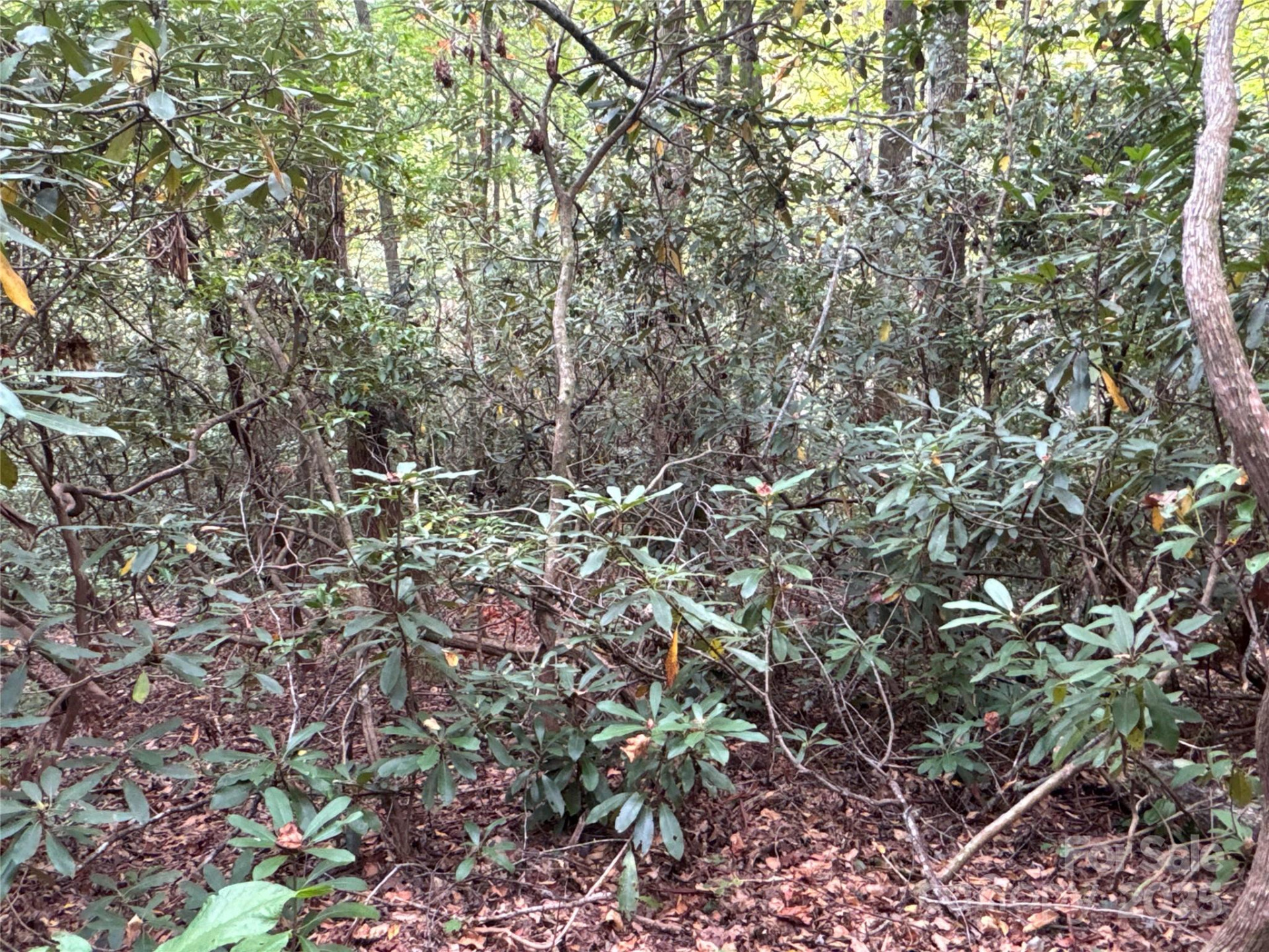 0 Mt Hebron Road - Photo 13