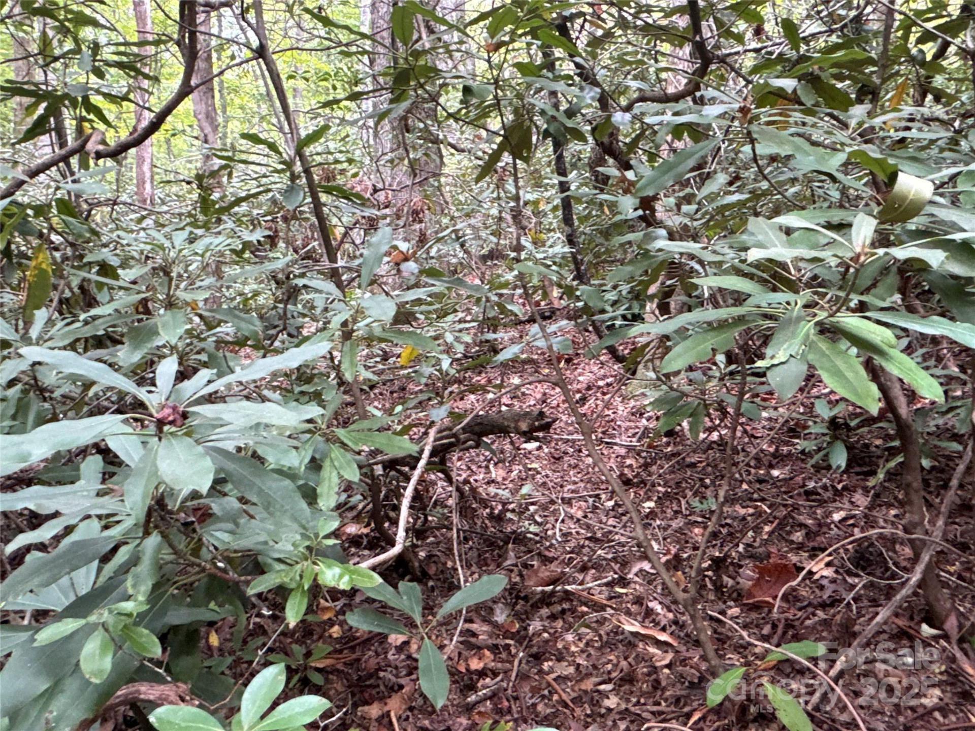 0 Mt Hebron Road - Photo 14