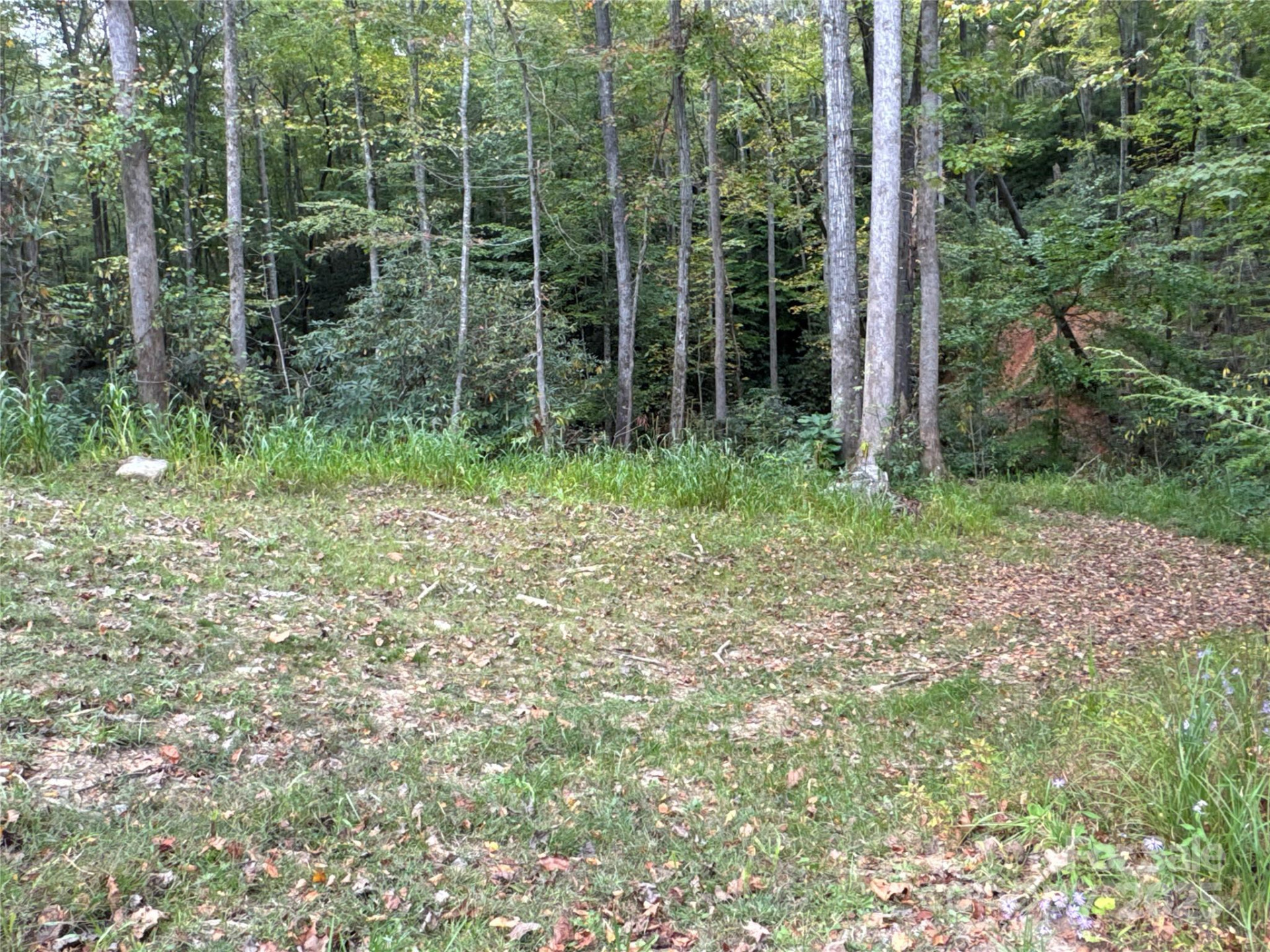 0 Mt Hebron Road - Photo 15